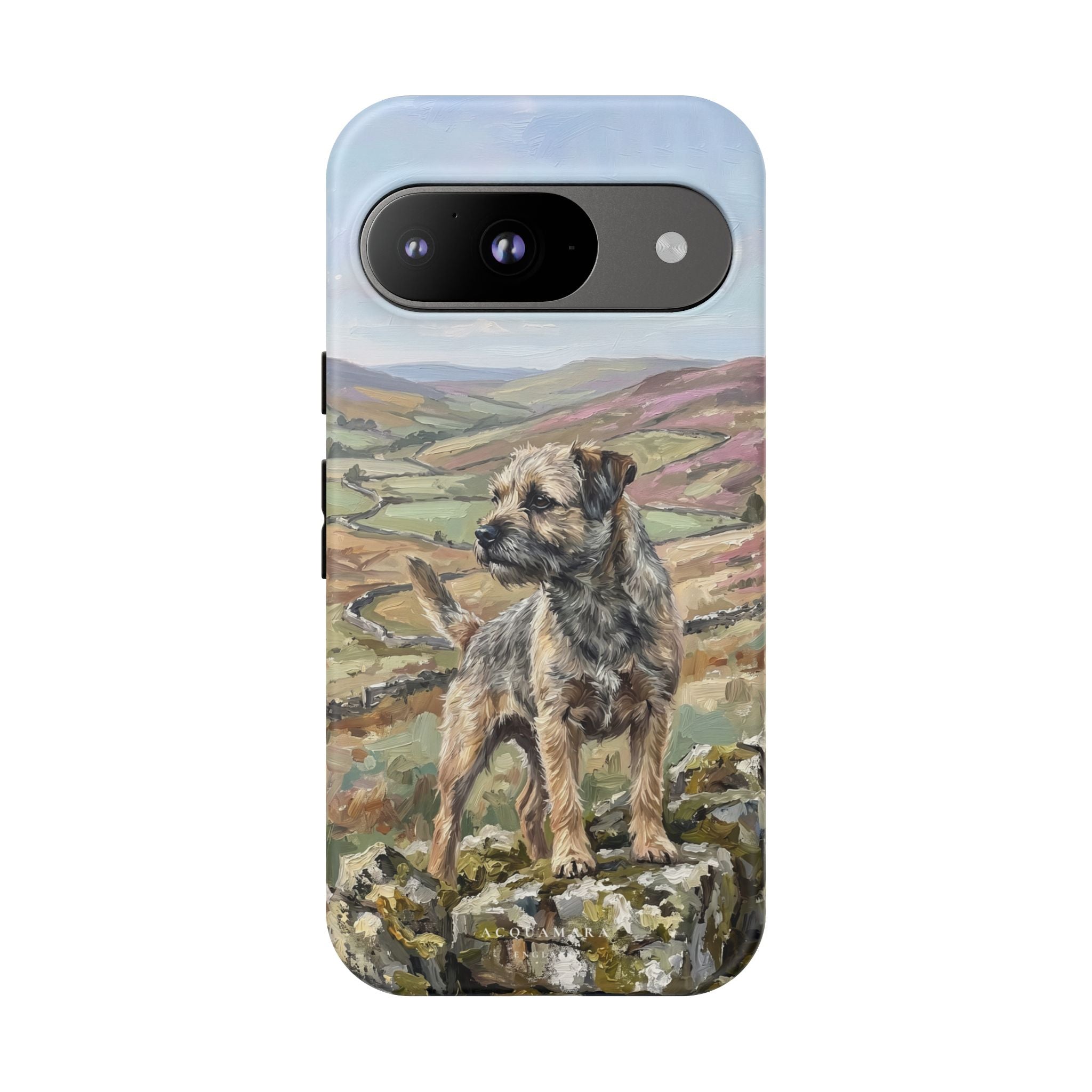 The Border Terrier (Grizzle and Tan)