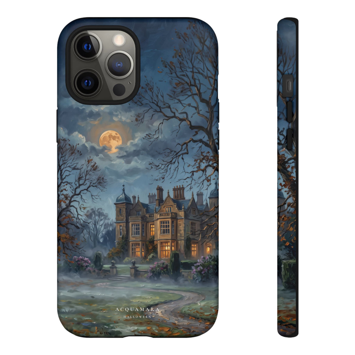 Dusk at the Manor