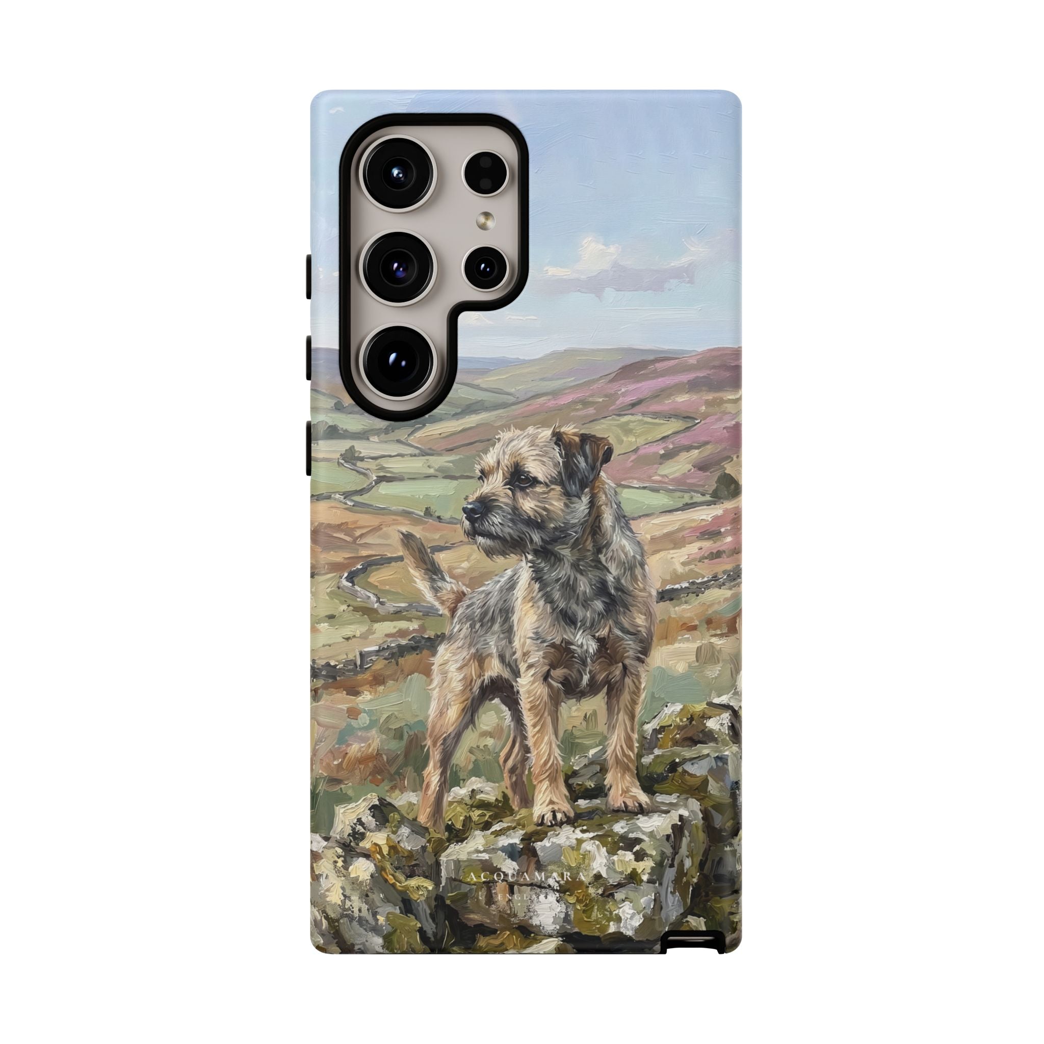 The Border Terrier (Grizzle and Tan)