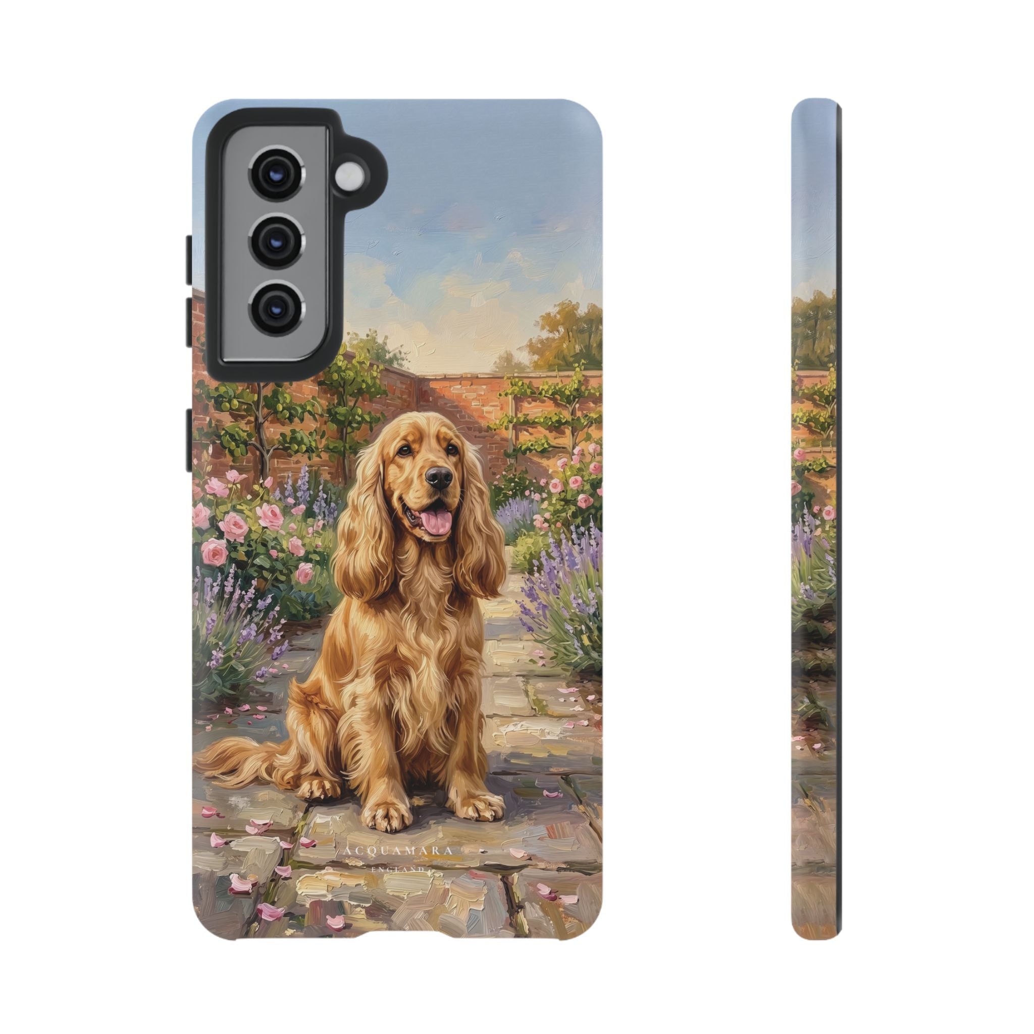 The Show Cocker (Golden)