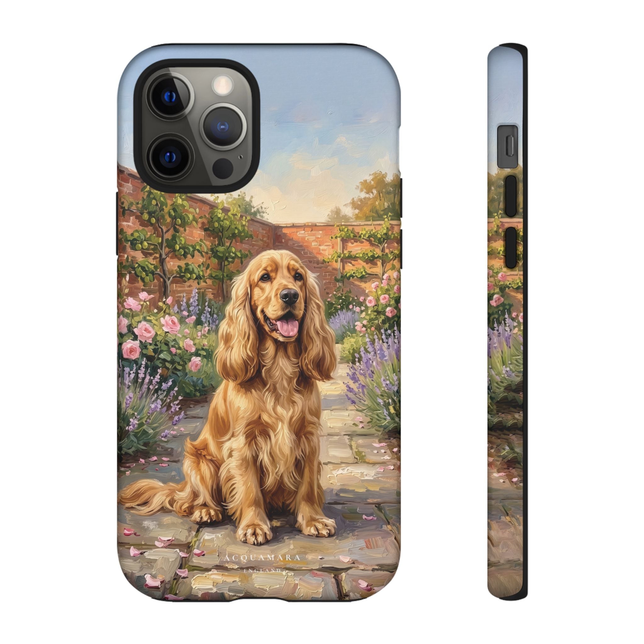 The Show Cocker (Golden)