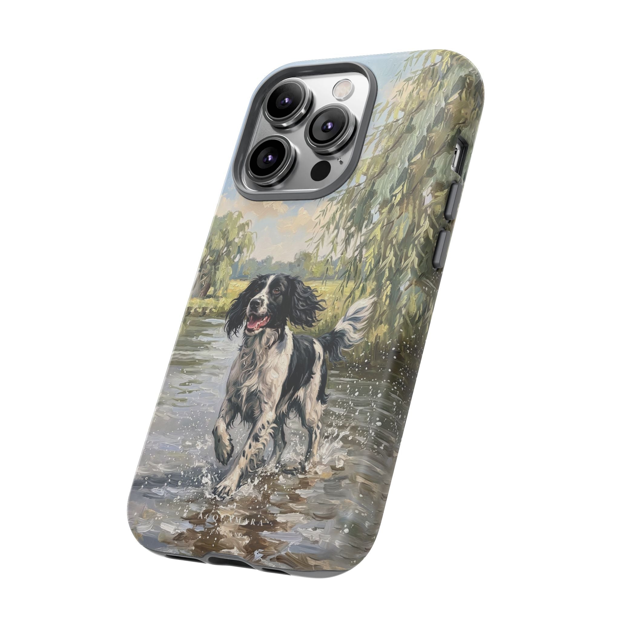 The Springer Spaniel (Black and White)