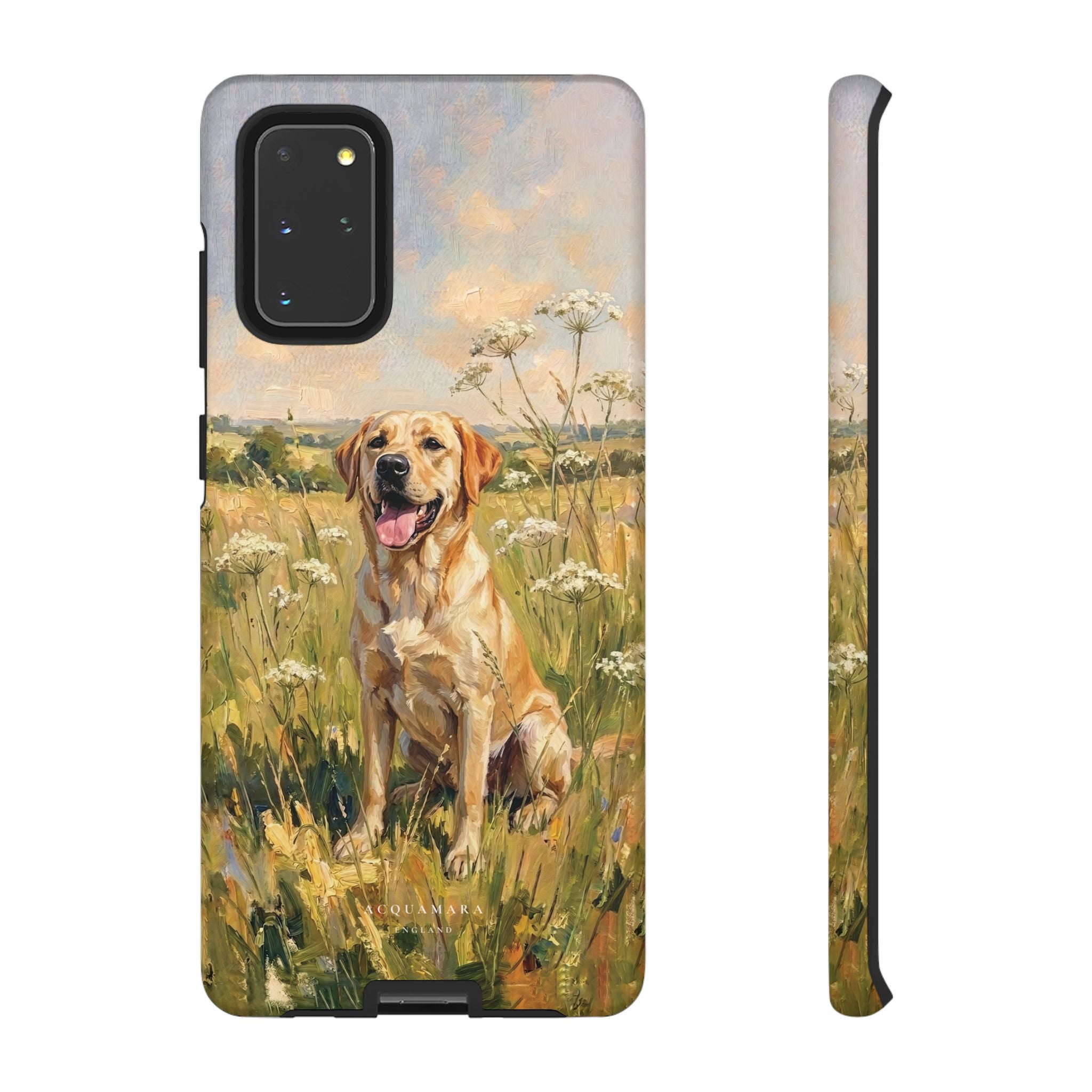 The Labrador (Yellow)