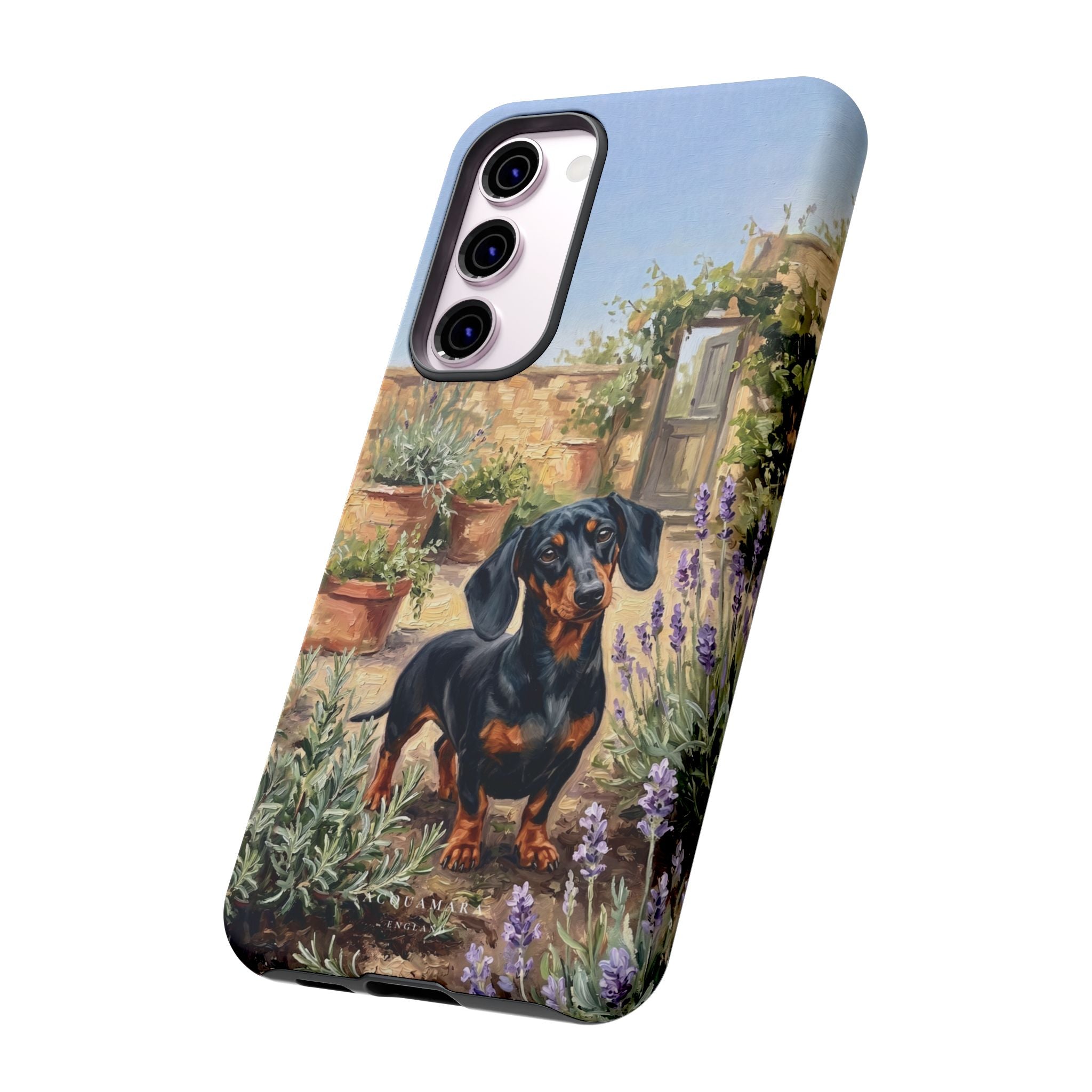 The Dachshund (Black and Tan)