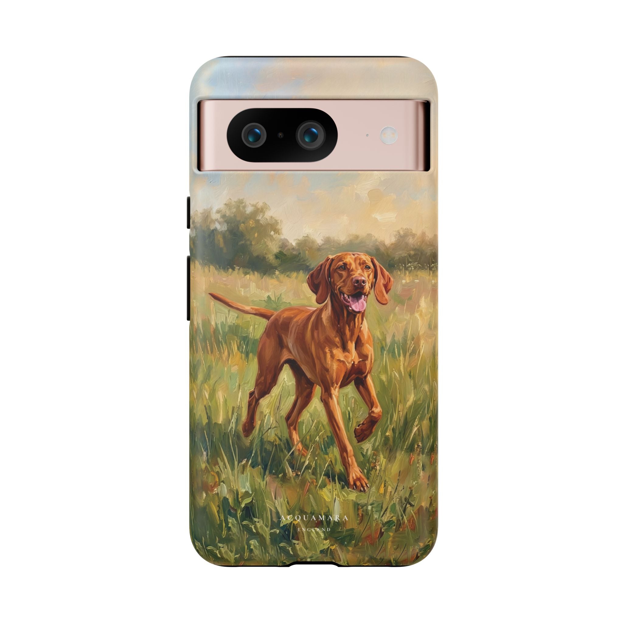 The Hungarian Vizsla
