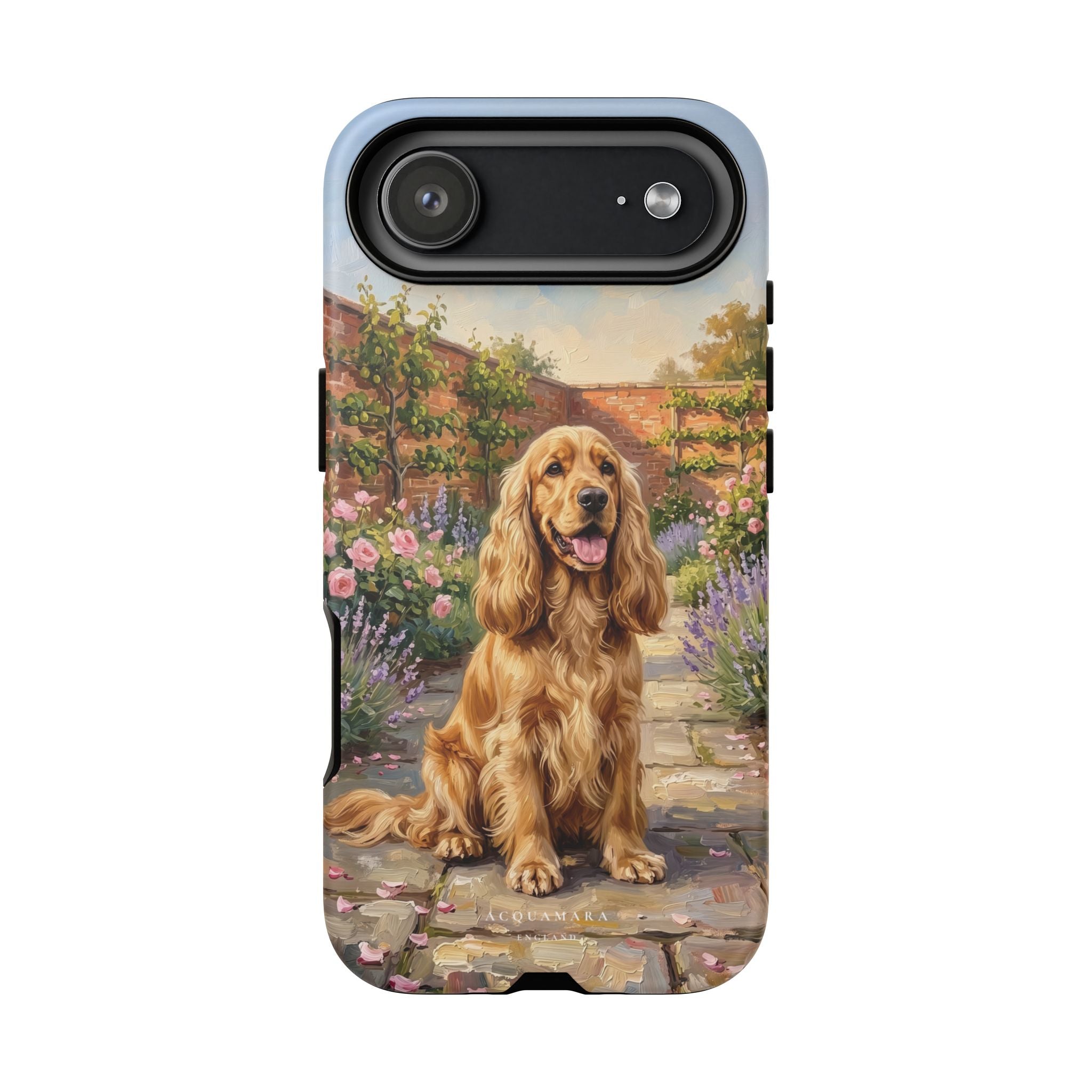 The Show Cocker (Golden)