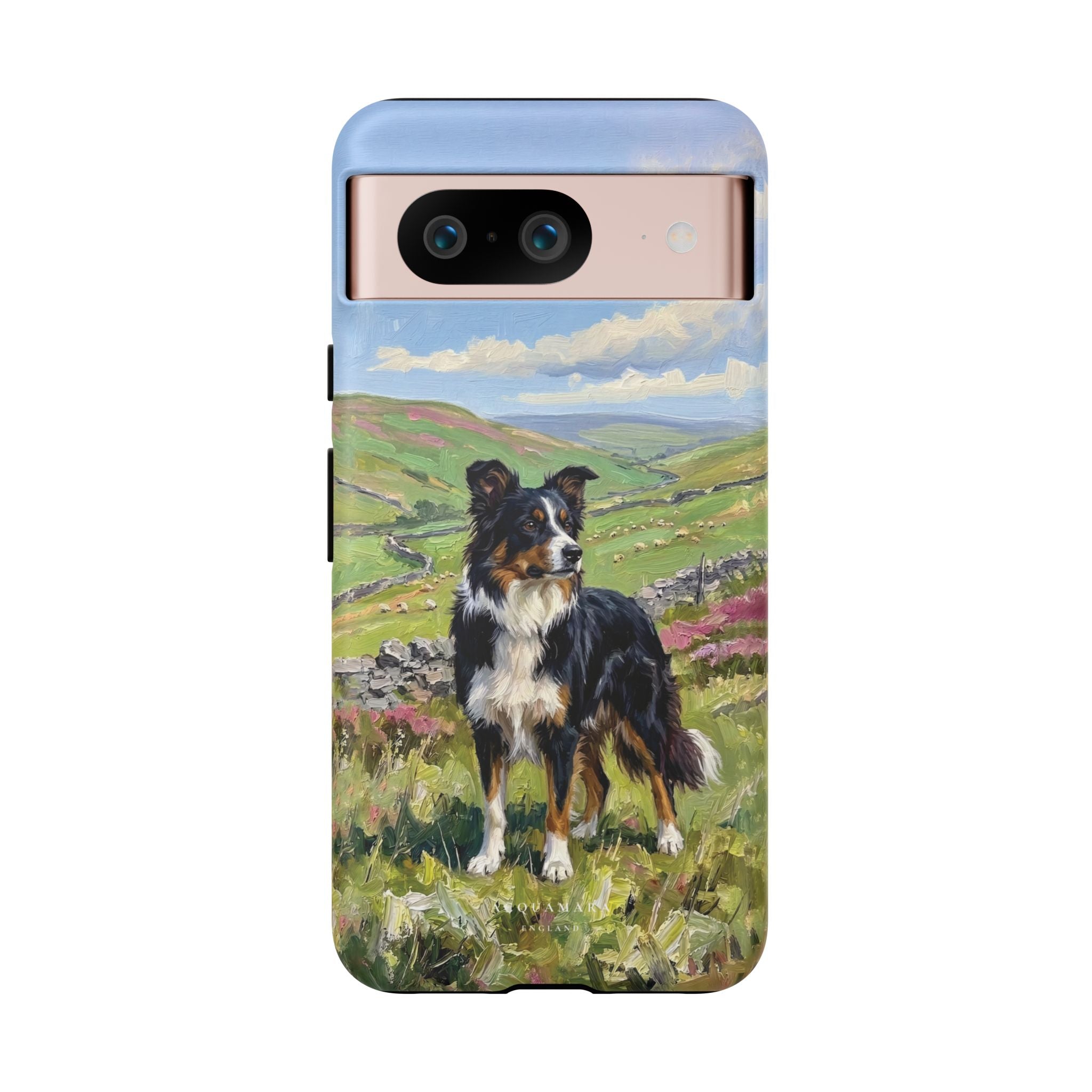 The Border Collie
