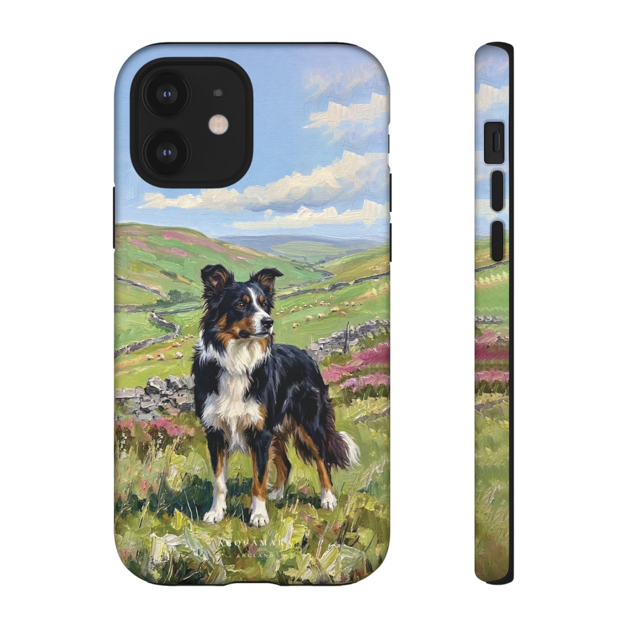 The Border Collie