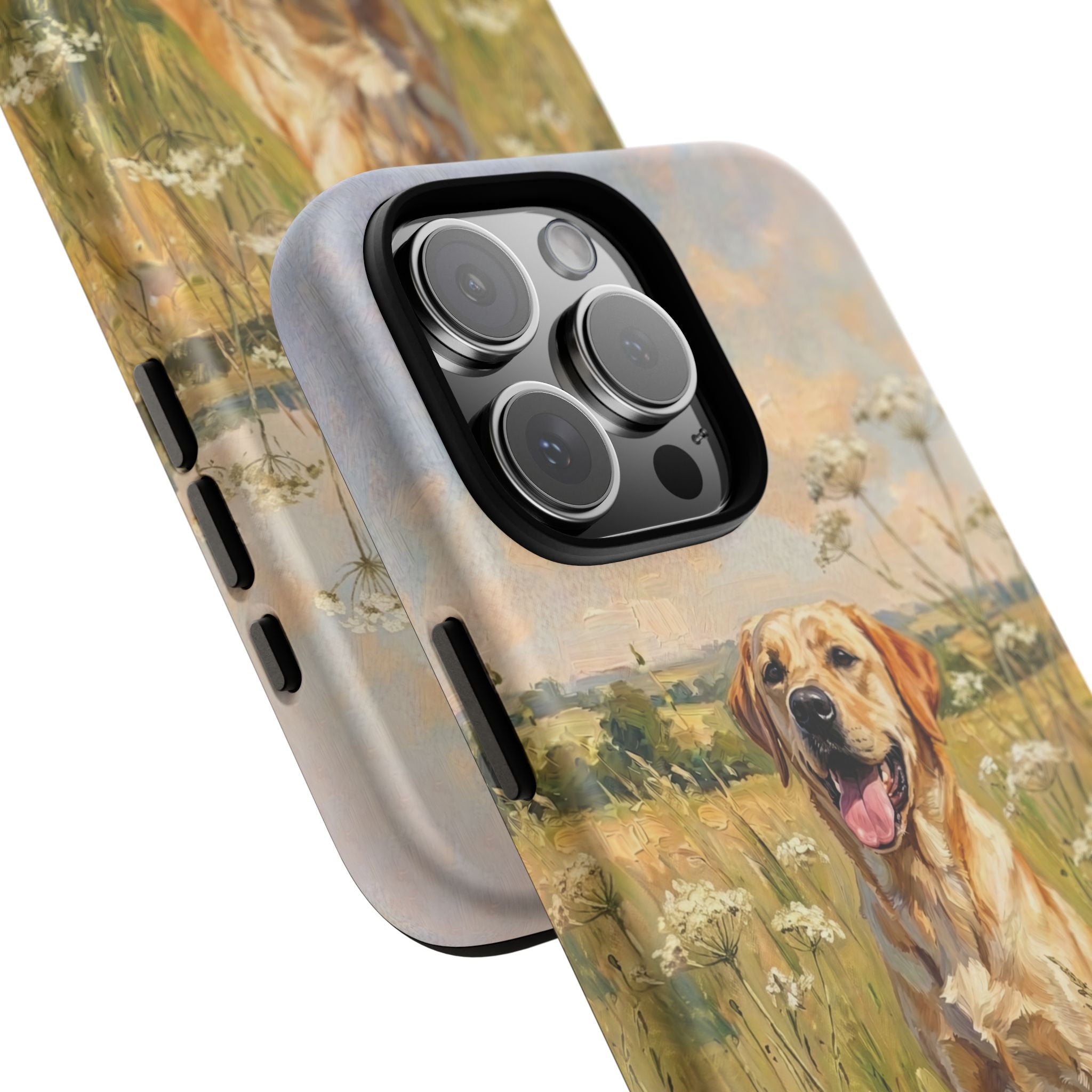 The Labrador (Yellow)