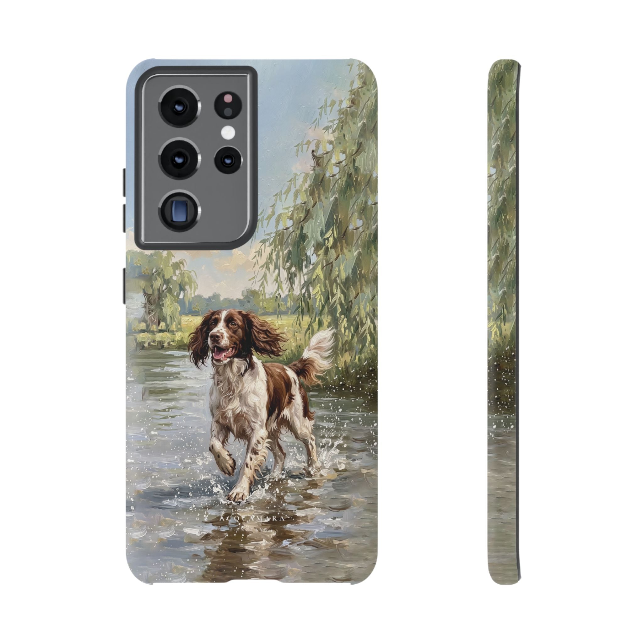 The Springer Spaniel (Liver and White)