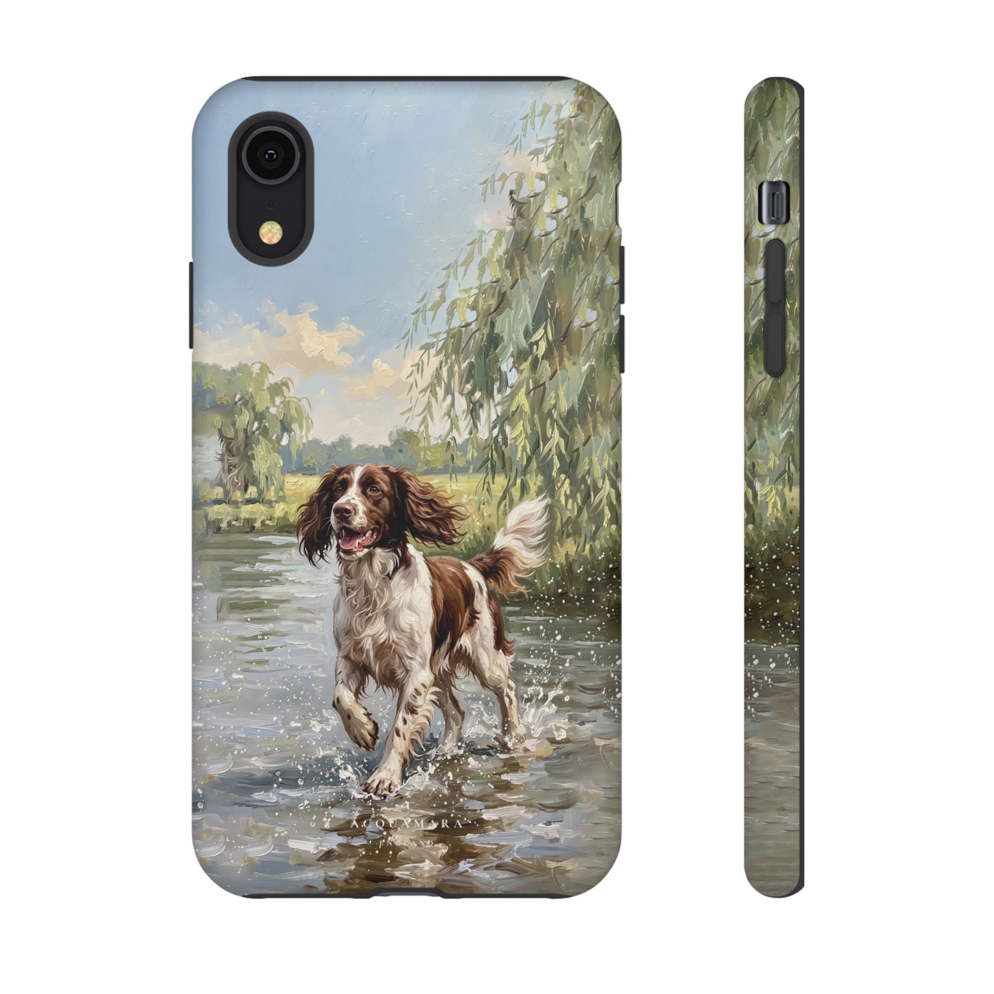 The Springer Spaniel (Liver and White)