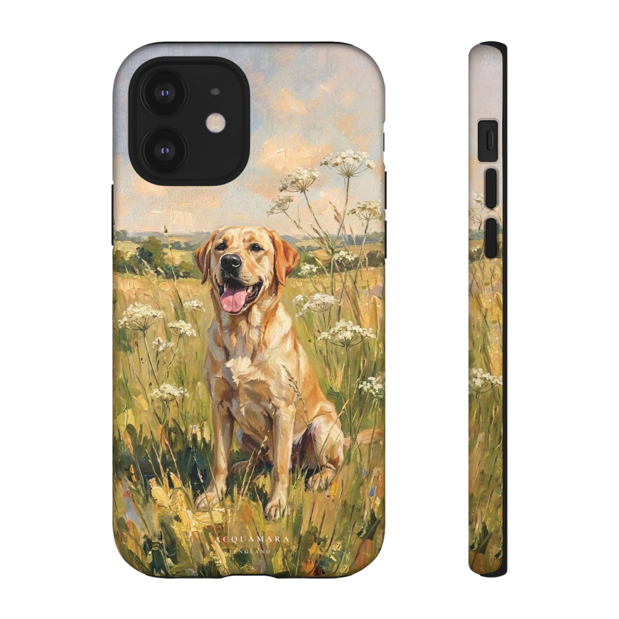The Labrador (Yellow)