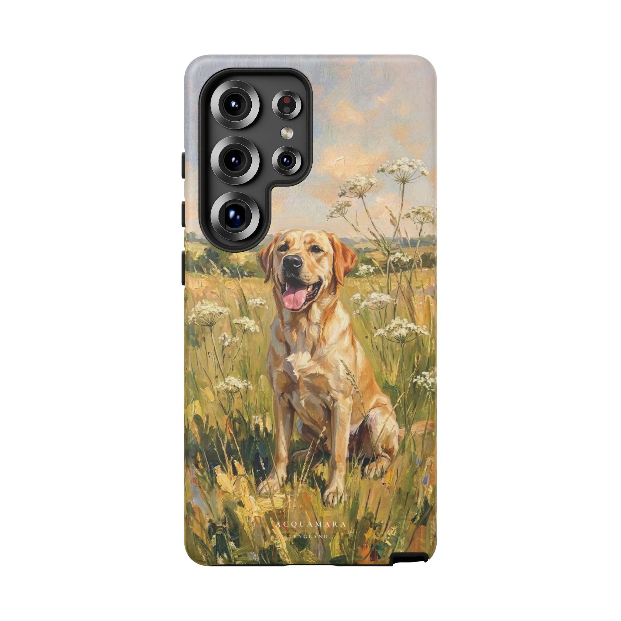 The Labrador (Yellow)