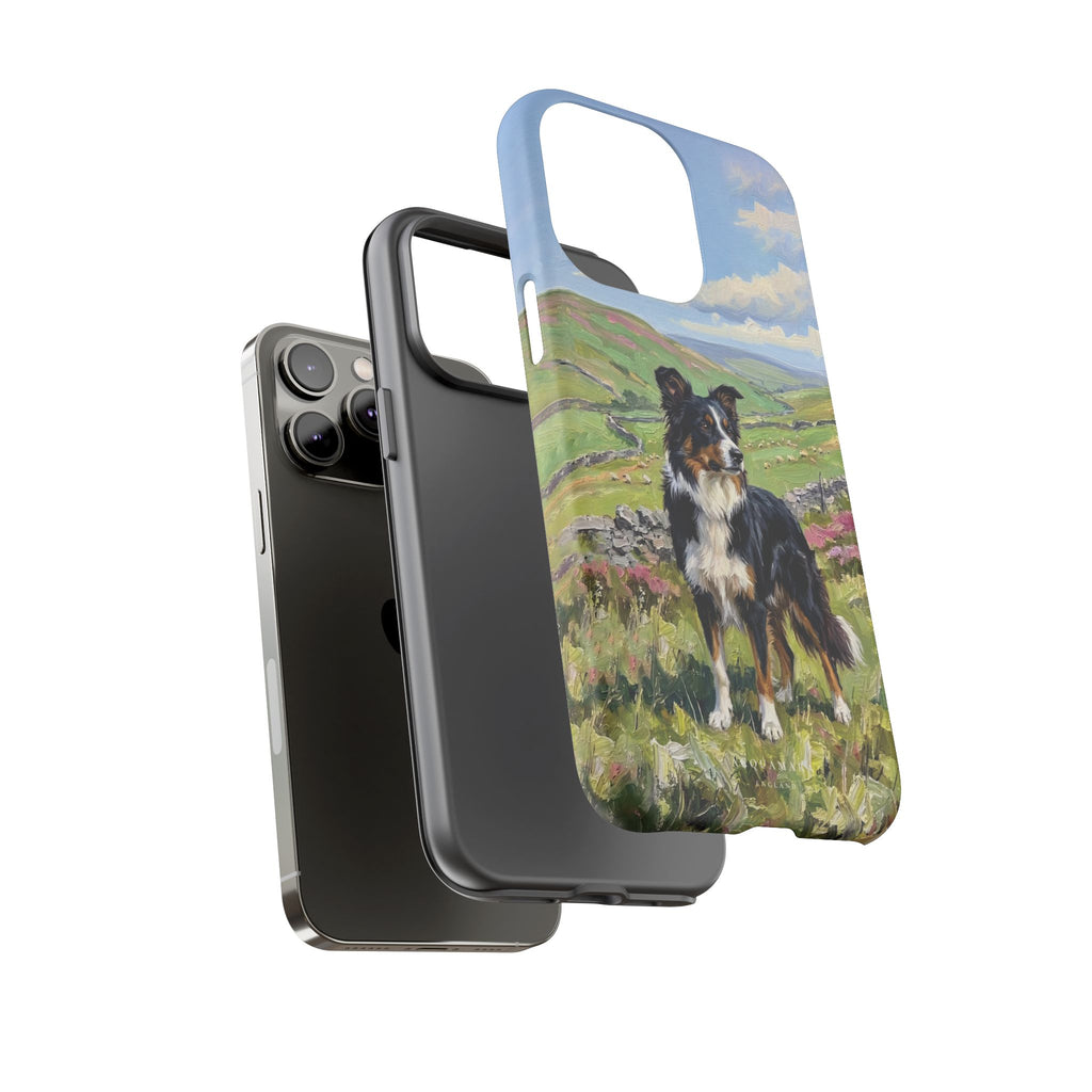 The Border Collie