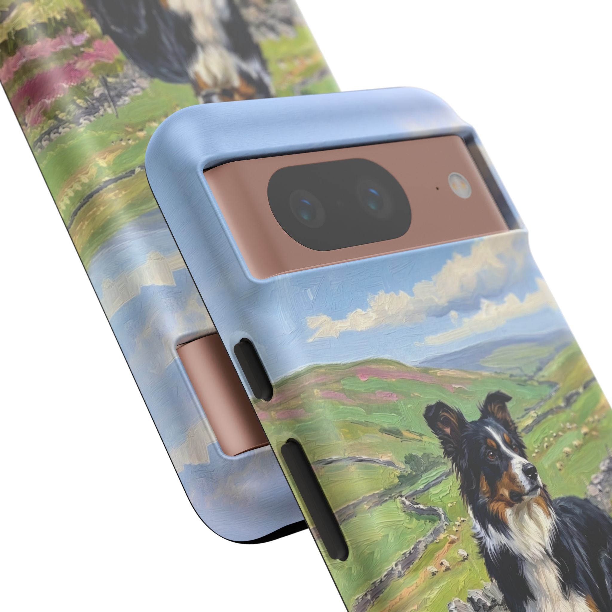 The Border Collie