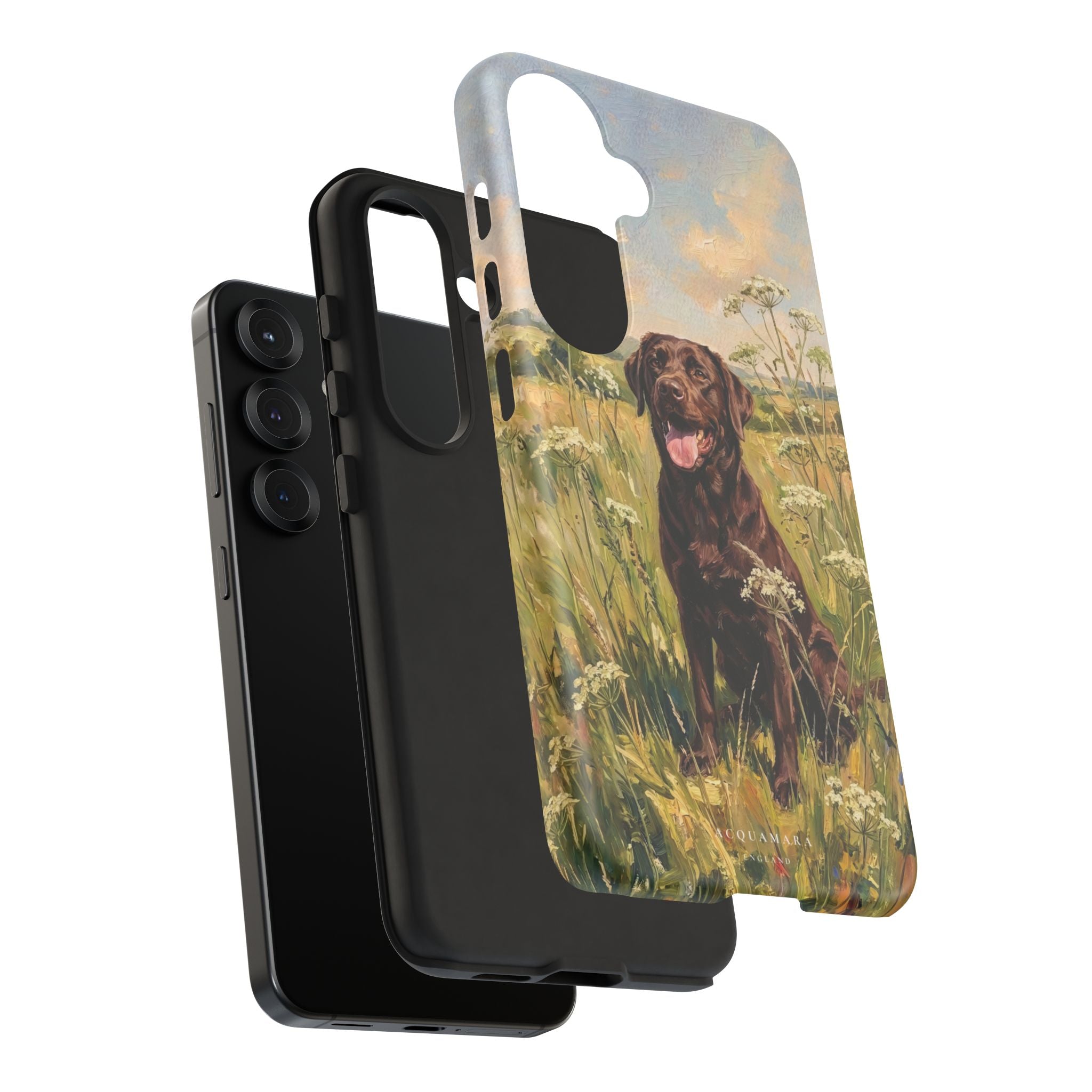 The Labrador (Chocolate)