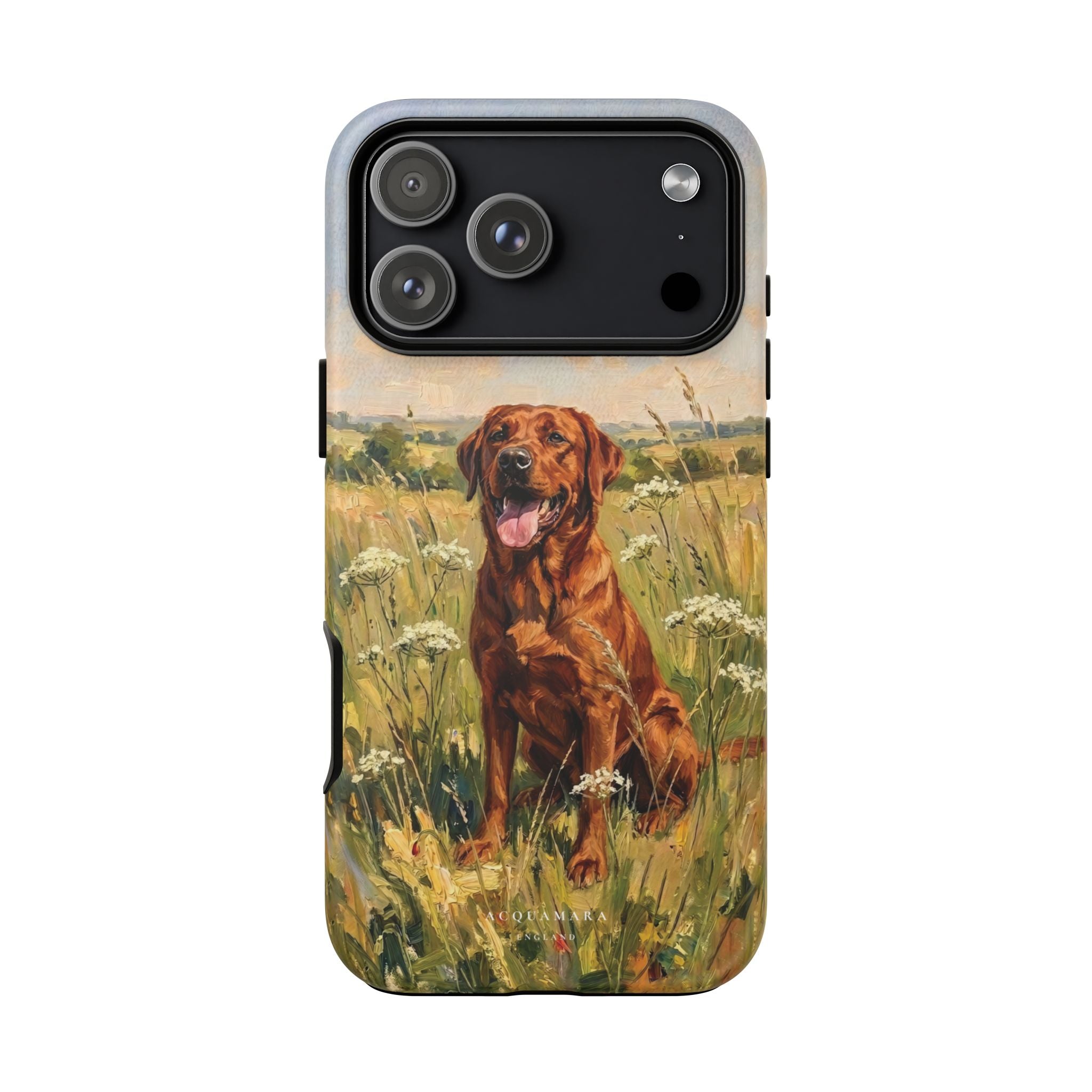 The Labrador (Red)