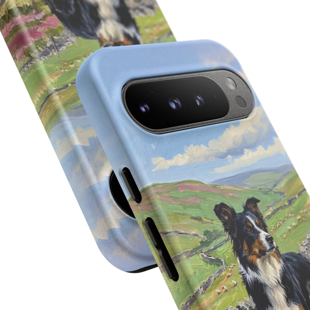 The Border Collie