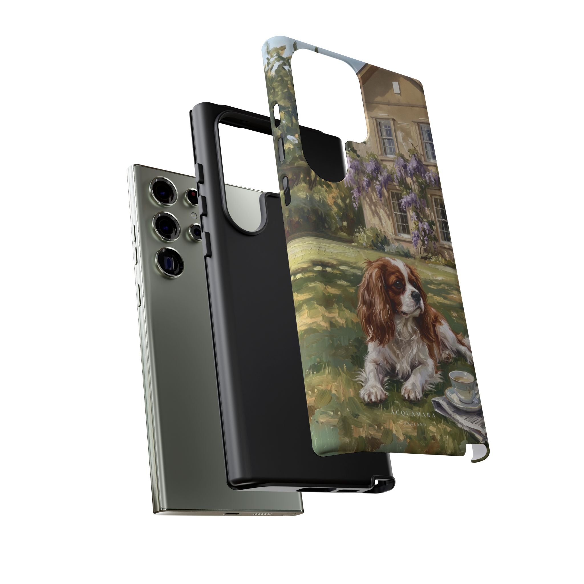 The Cavalier King Charles Spaniel