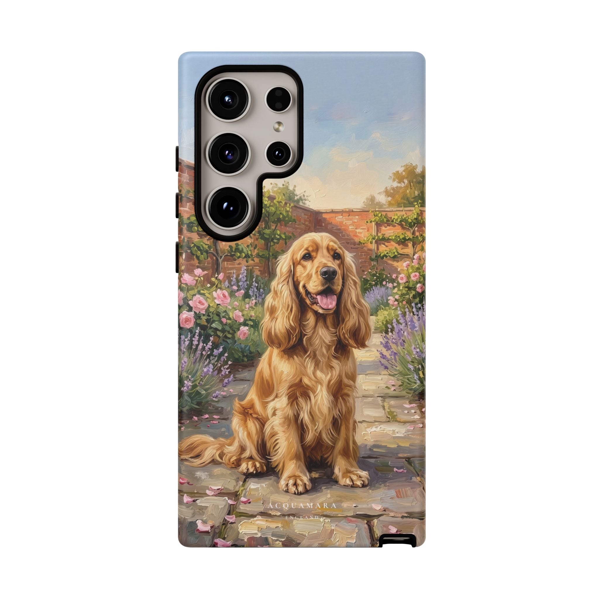 The Show Cocker (Golden)
