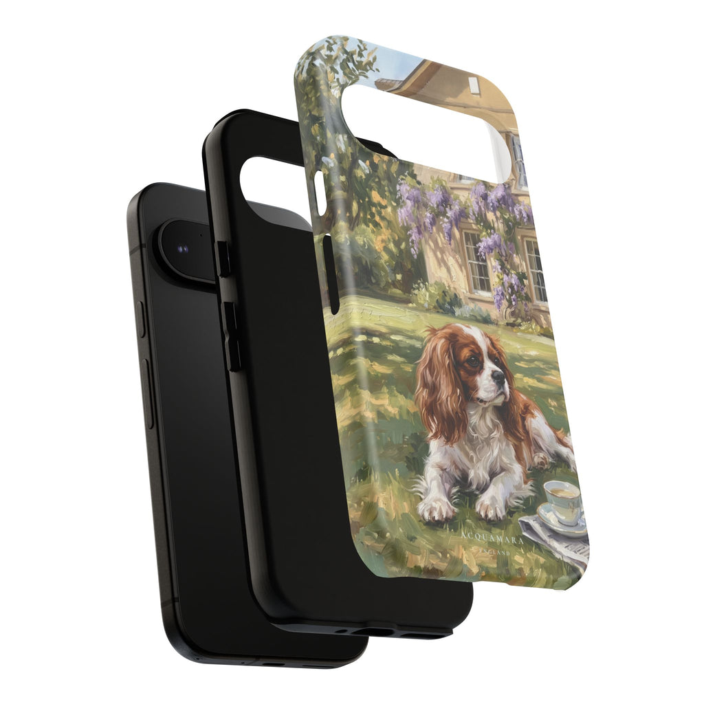 The Cavalier King Charles Spaniel