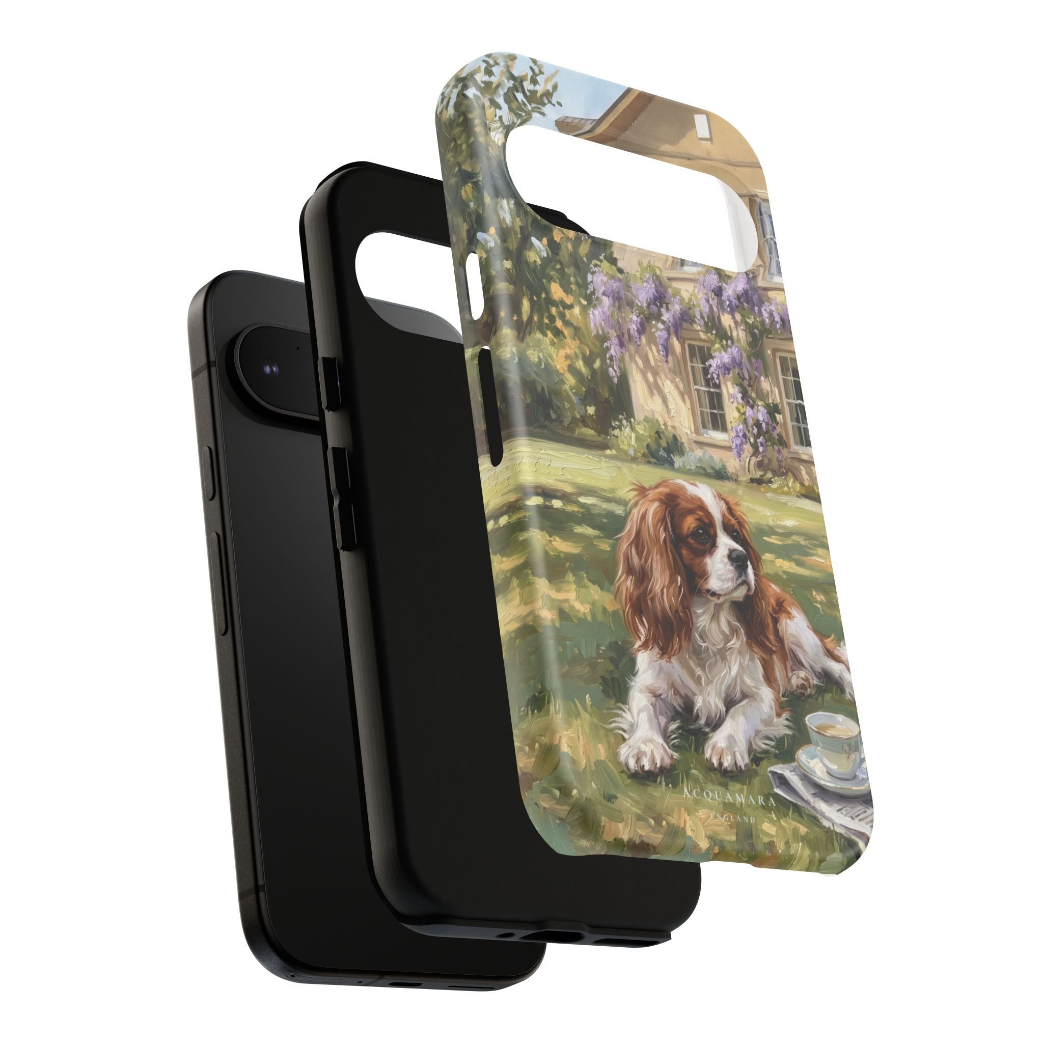 The Cavalier King Charles Spaniel