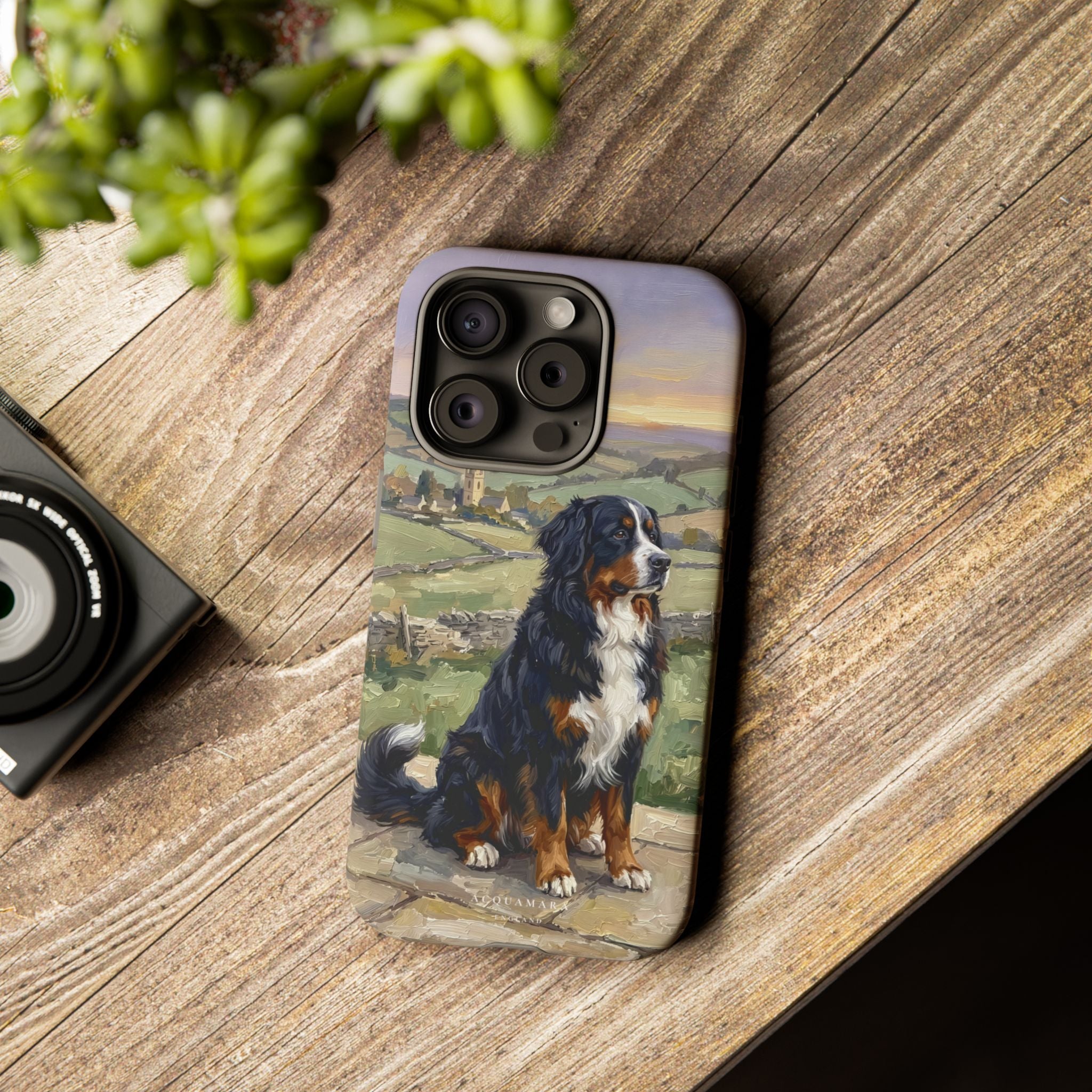 The Bernese Mountain Dog