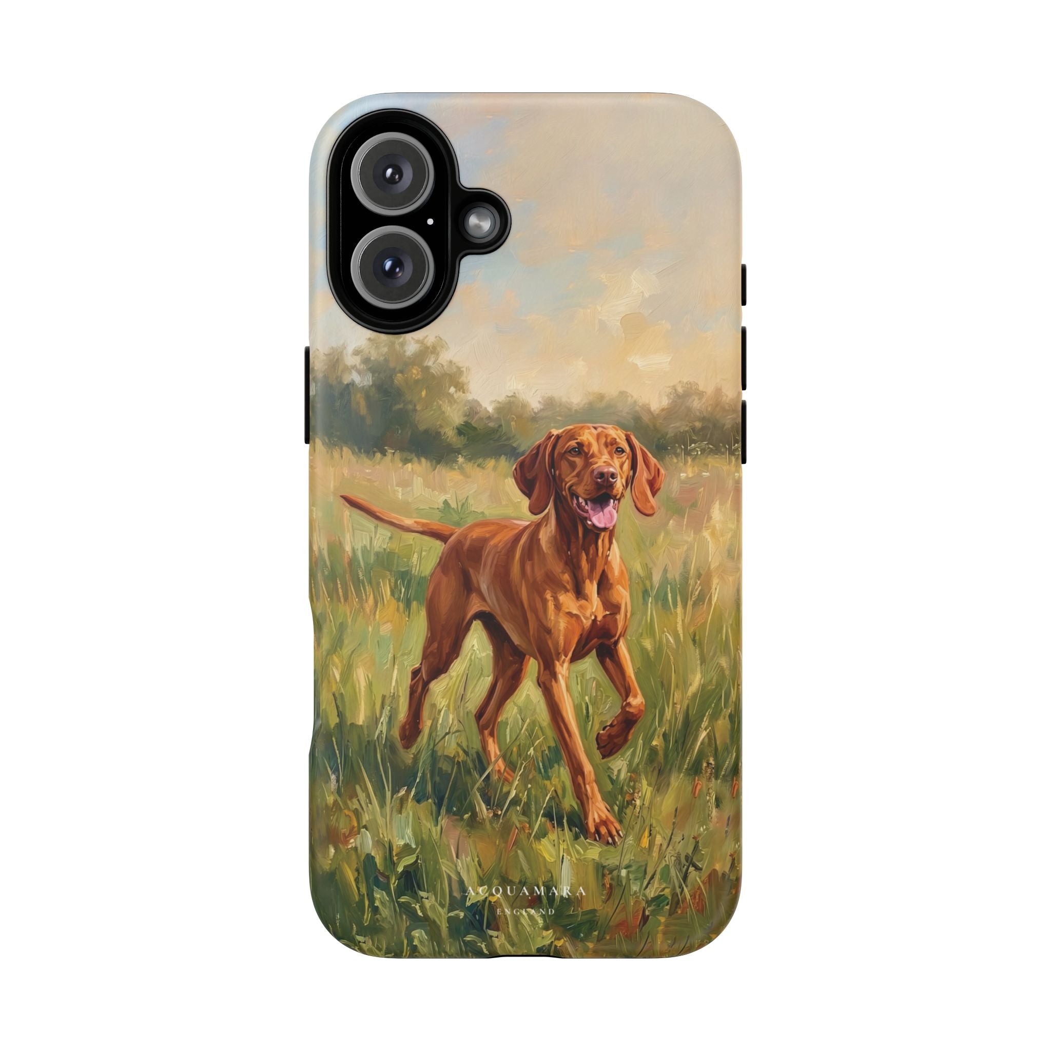 The Hungarian Vizsla