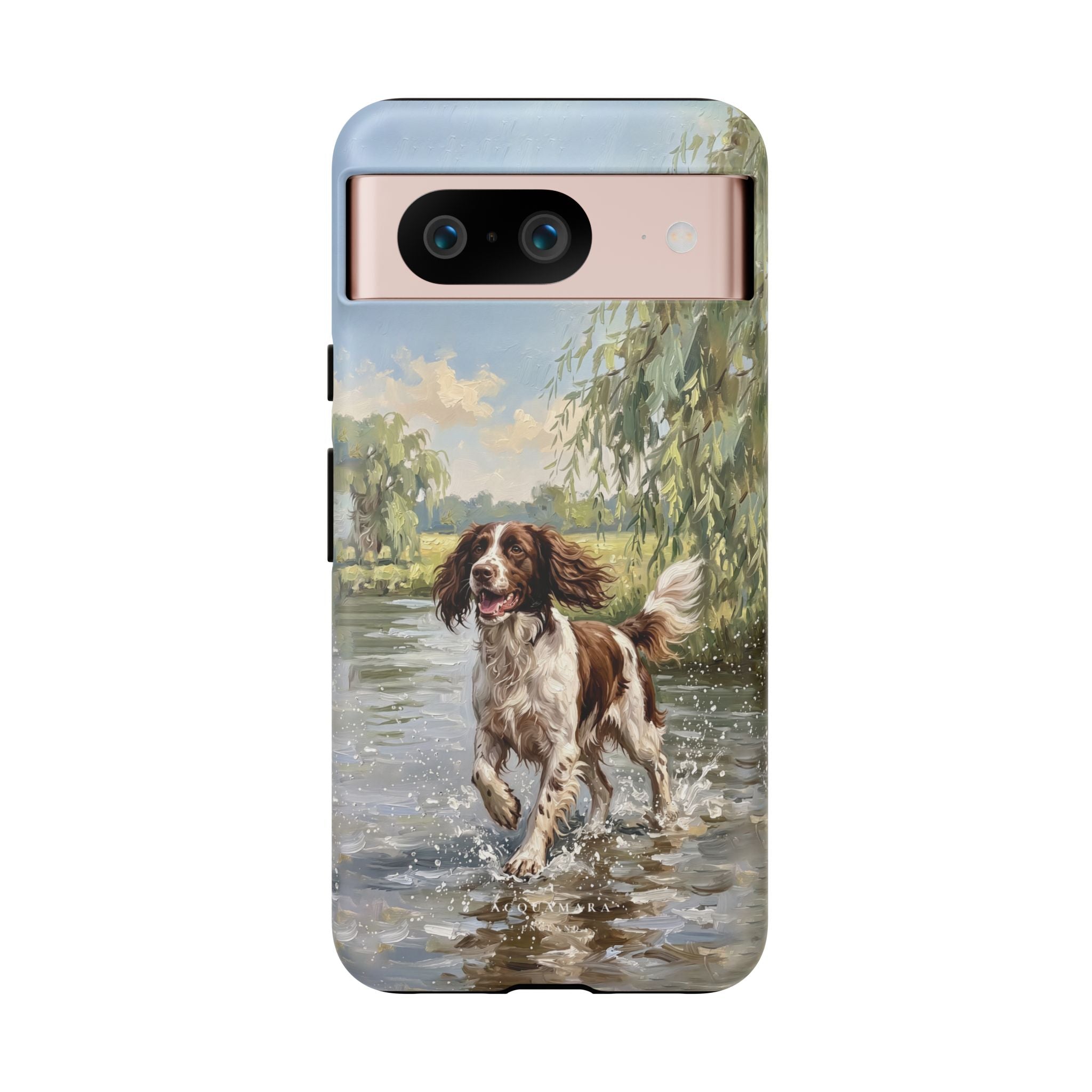 The Springer Spaniel (Liver and White)
