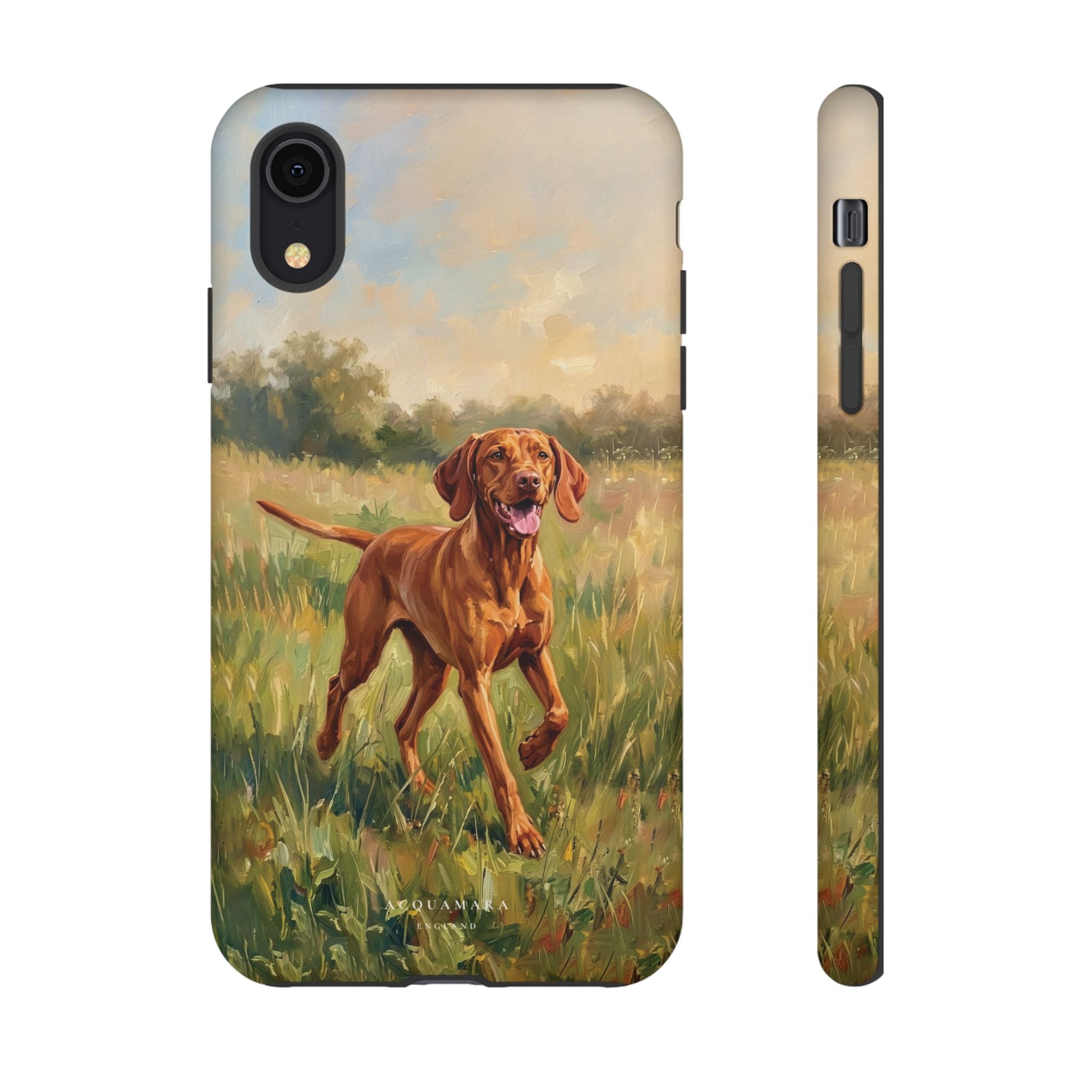 The Hungarian Vizsla