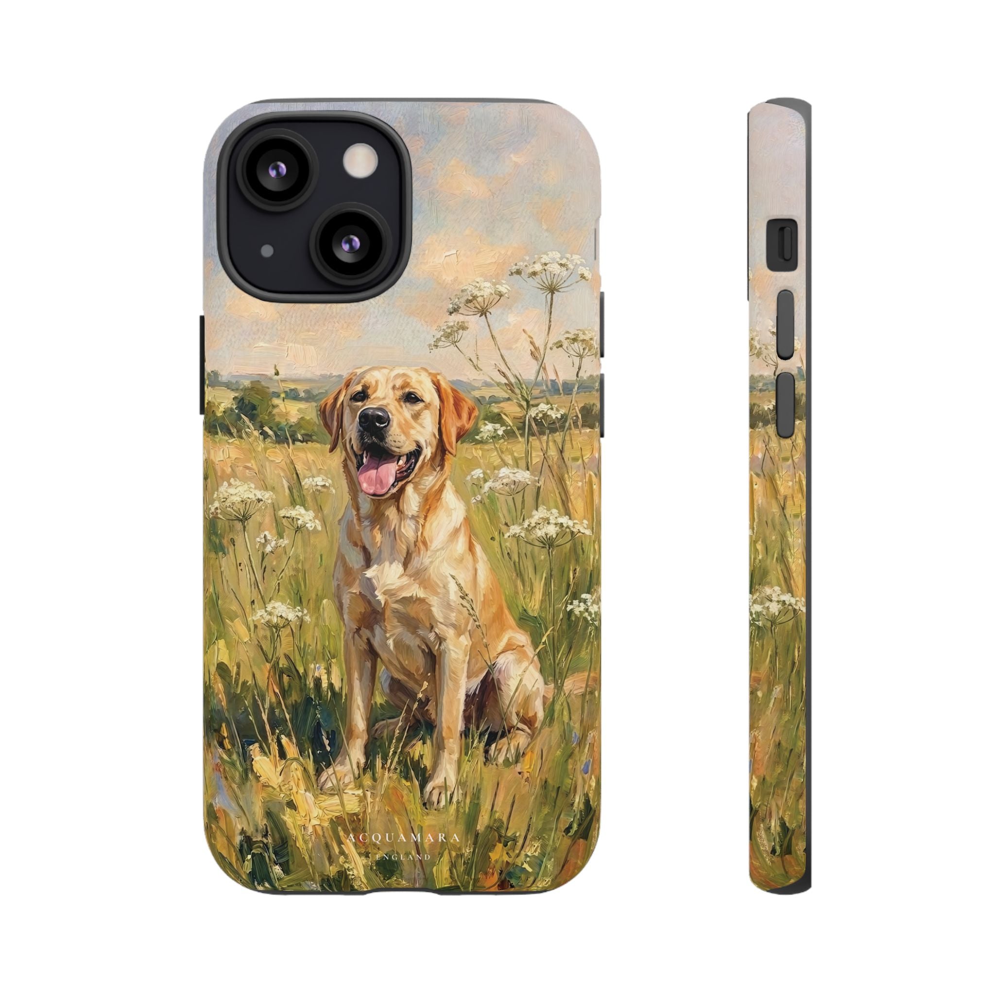 The Labrador (Yellow)