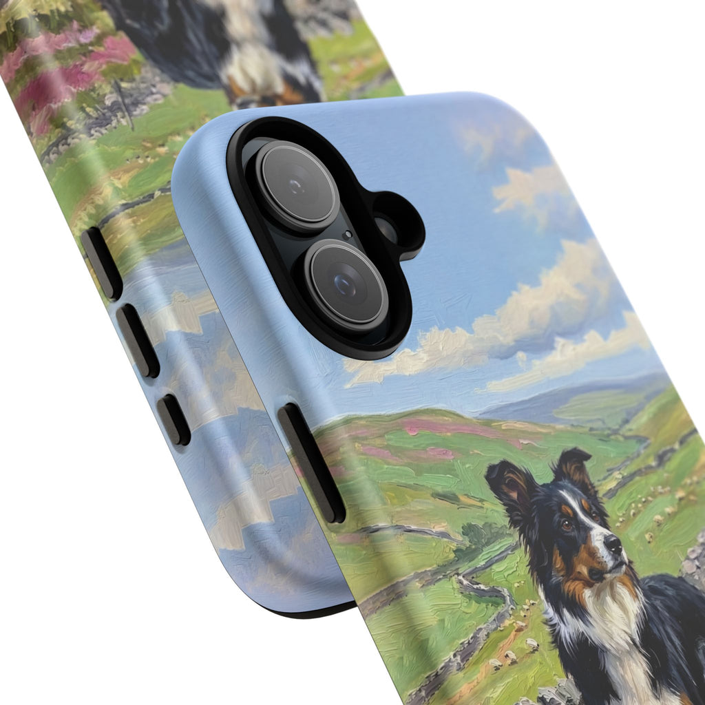 The Border Collie