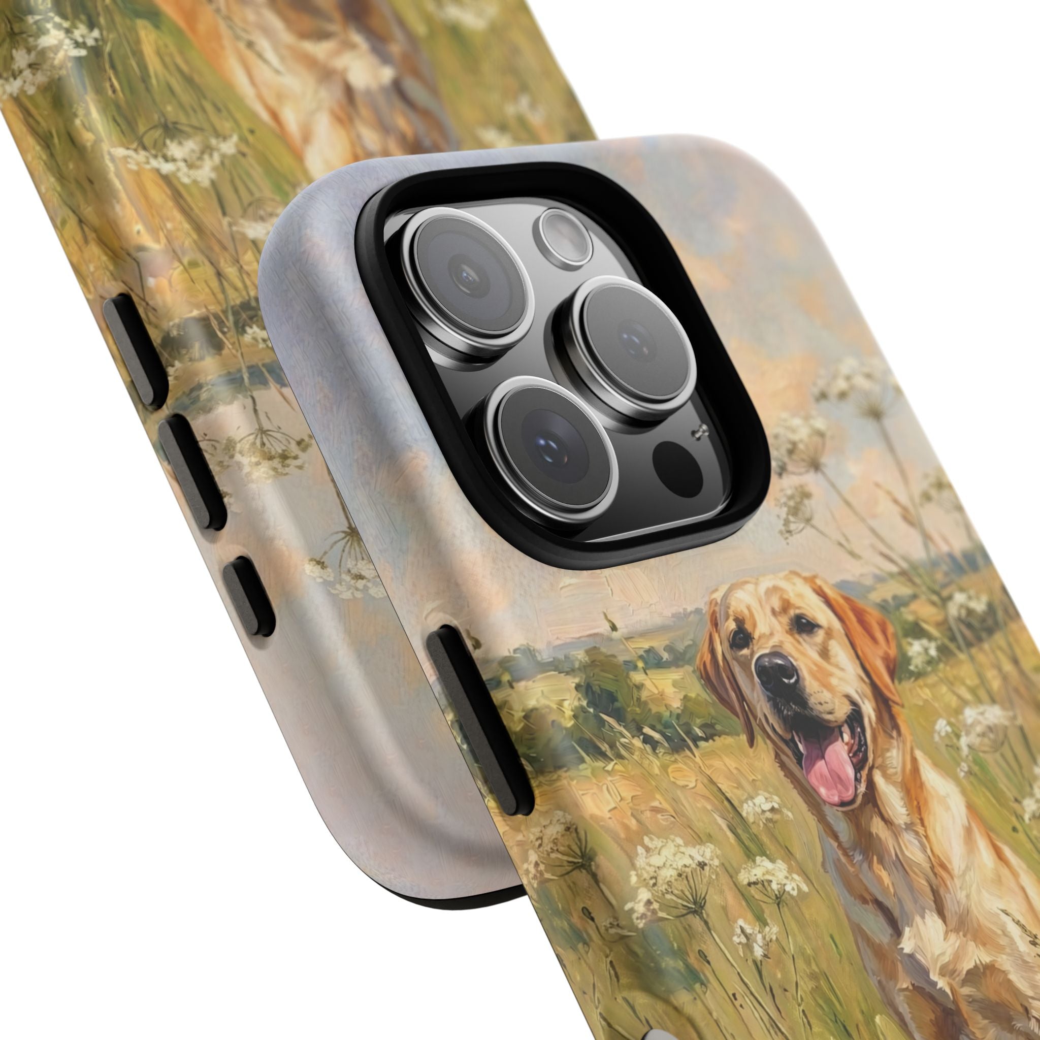 The Labrador (Yellow)