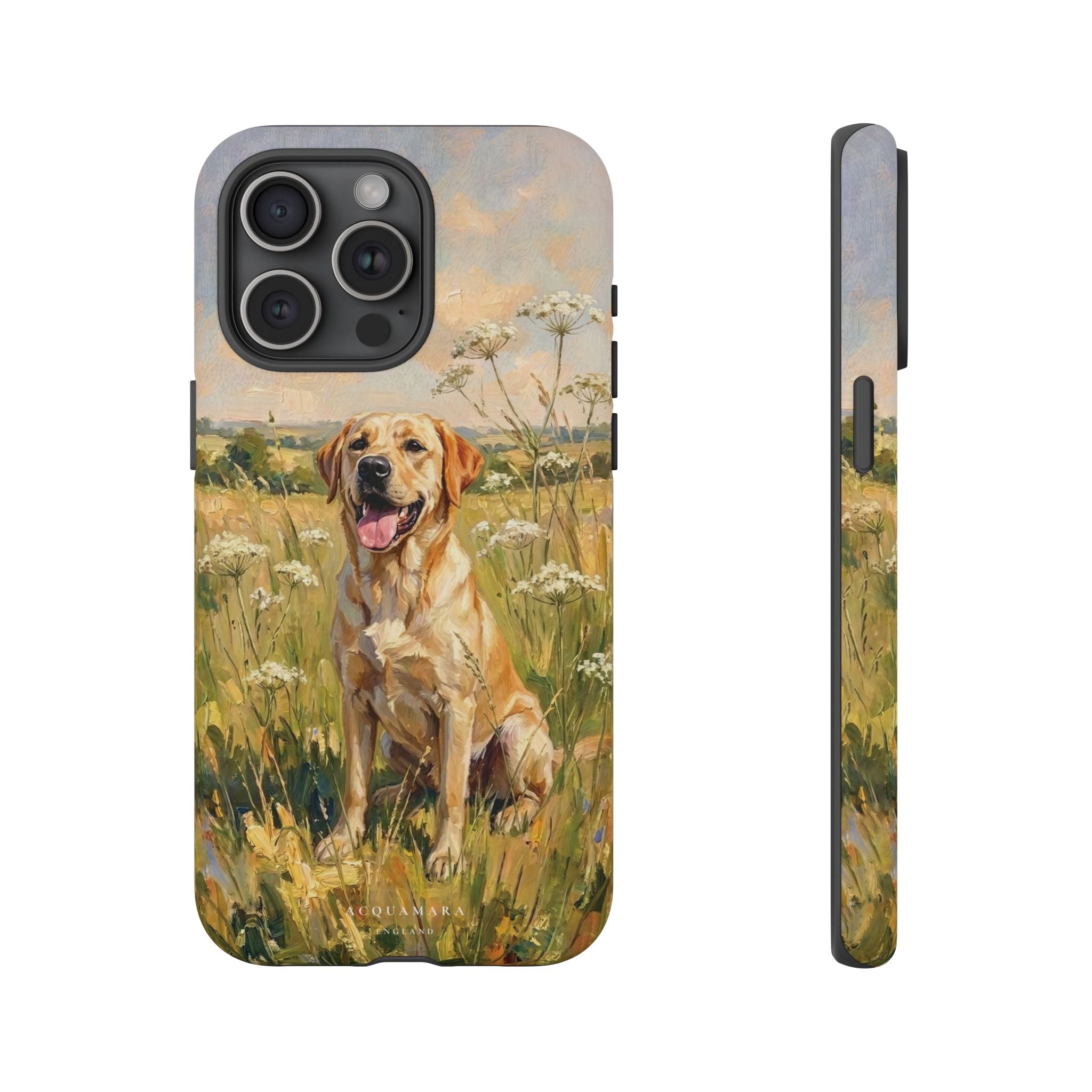 The Labrador (Yellow)