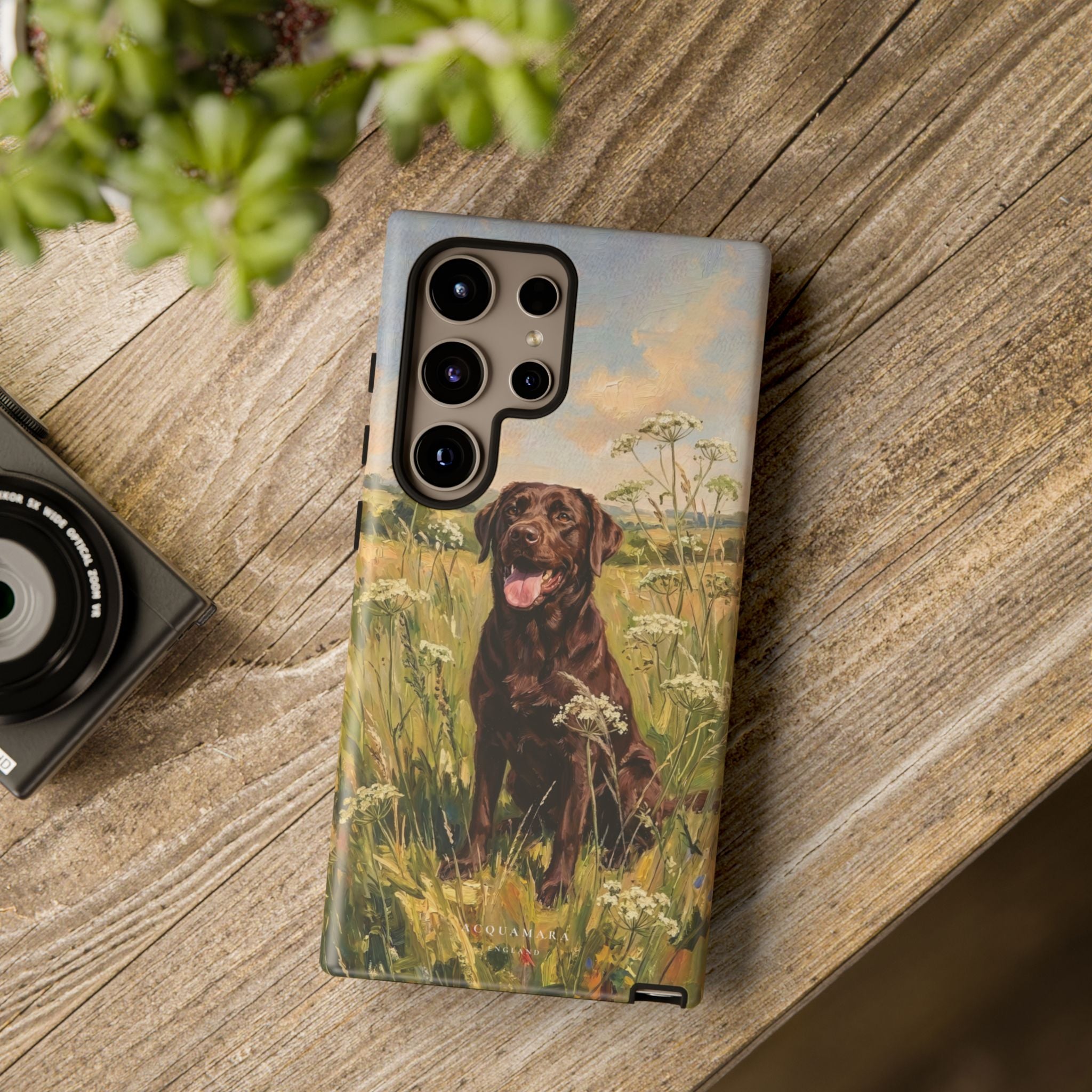 The Labrador (Chocolate)
