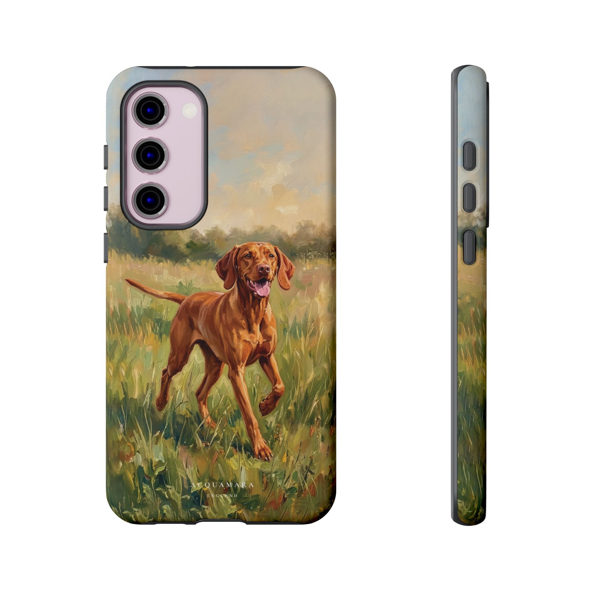 The Hungarian Vizsla
