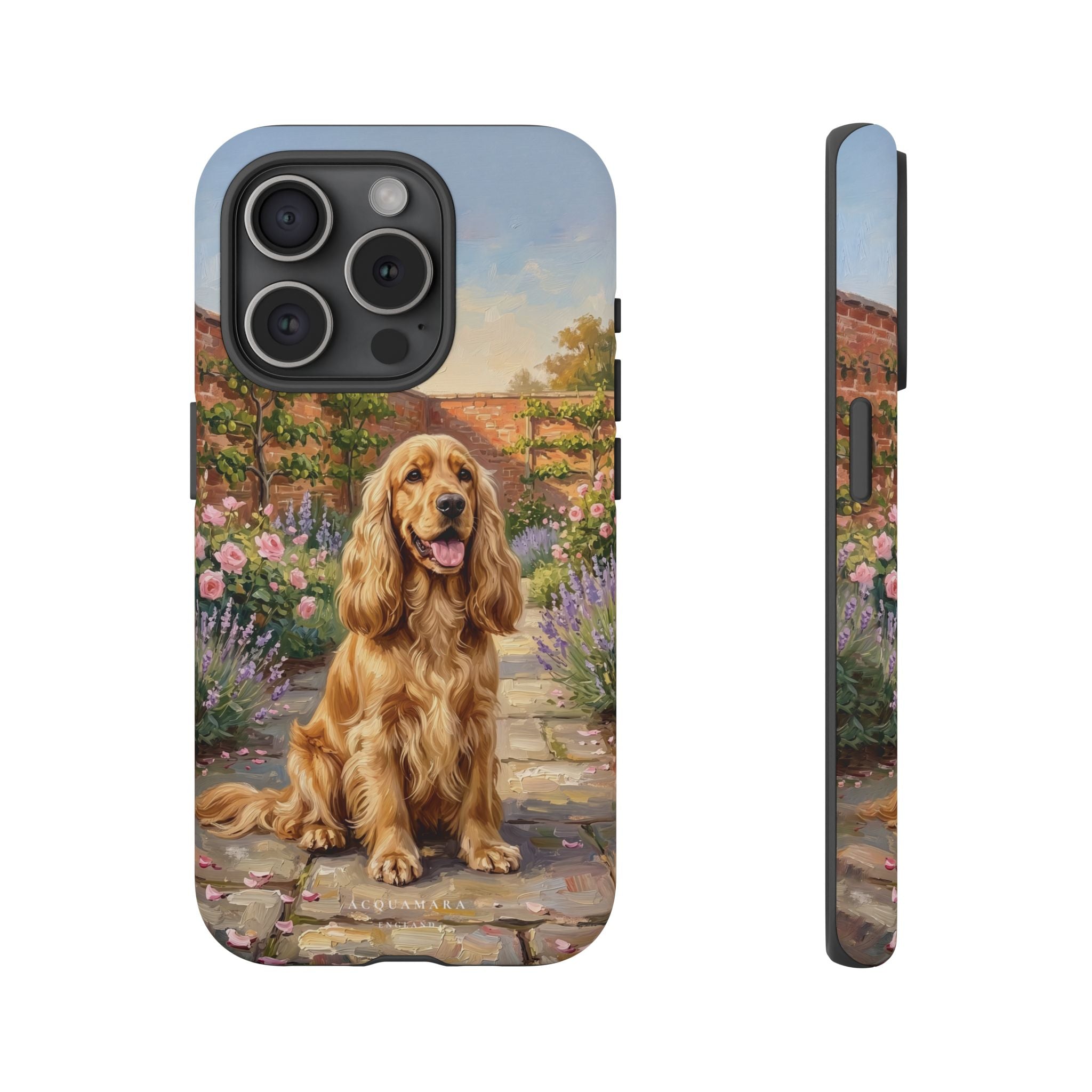 The Show Cocker (Golden)
