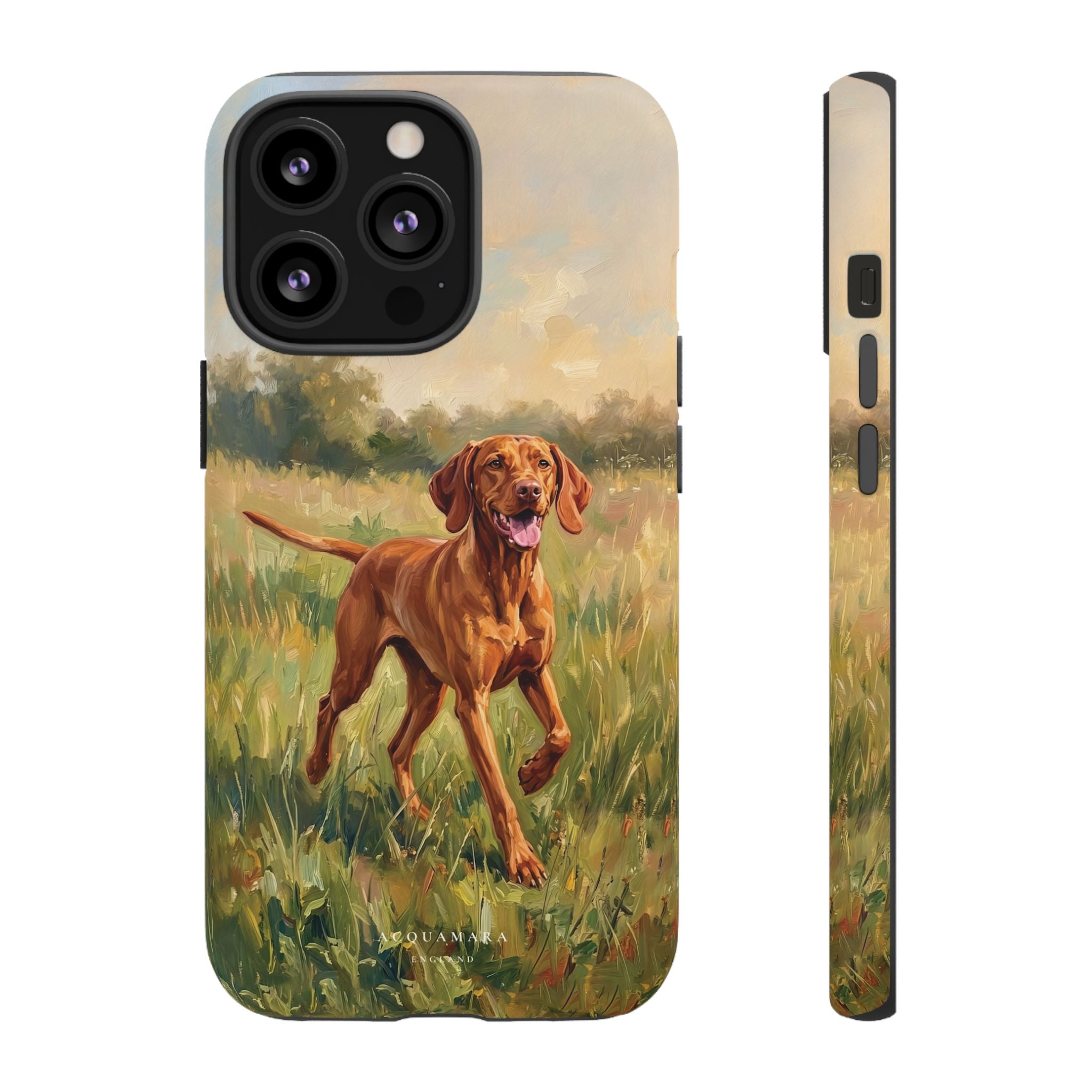 The Hungarian Vizsla
