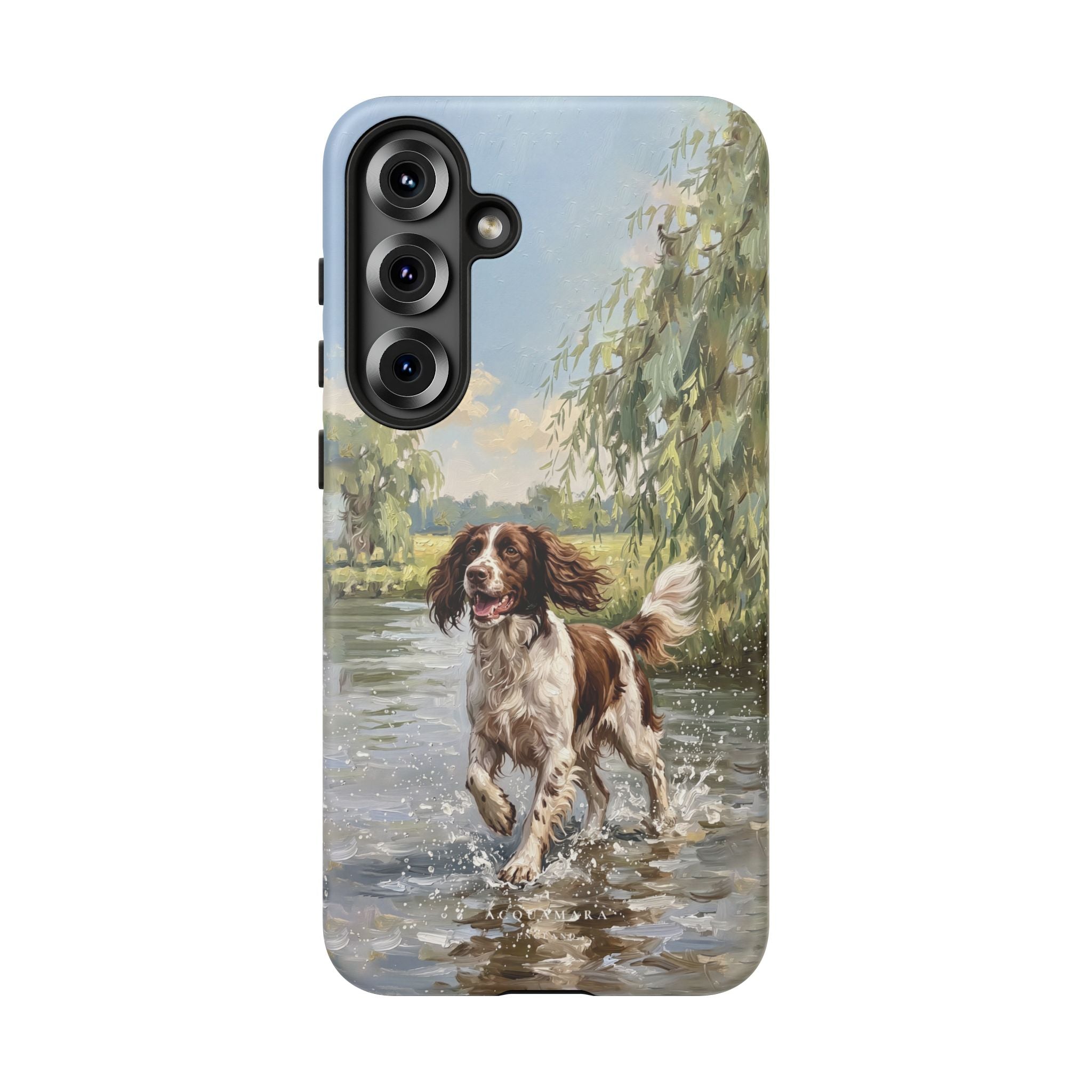 The Springer Spaniel (Liver and White)
