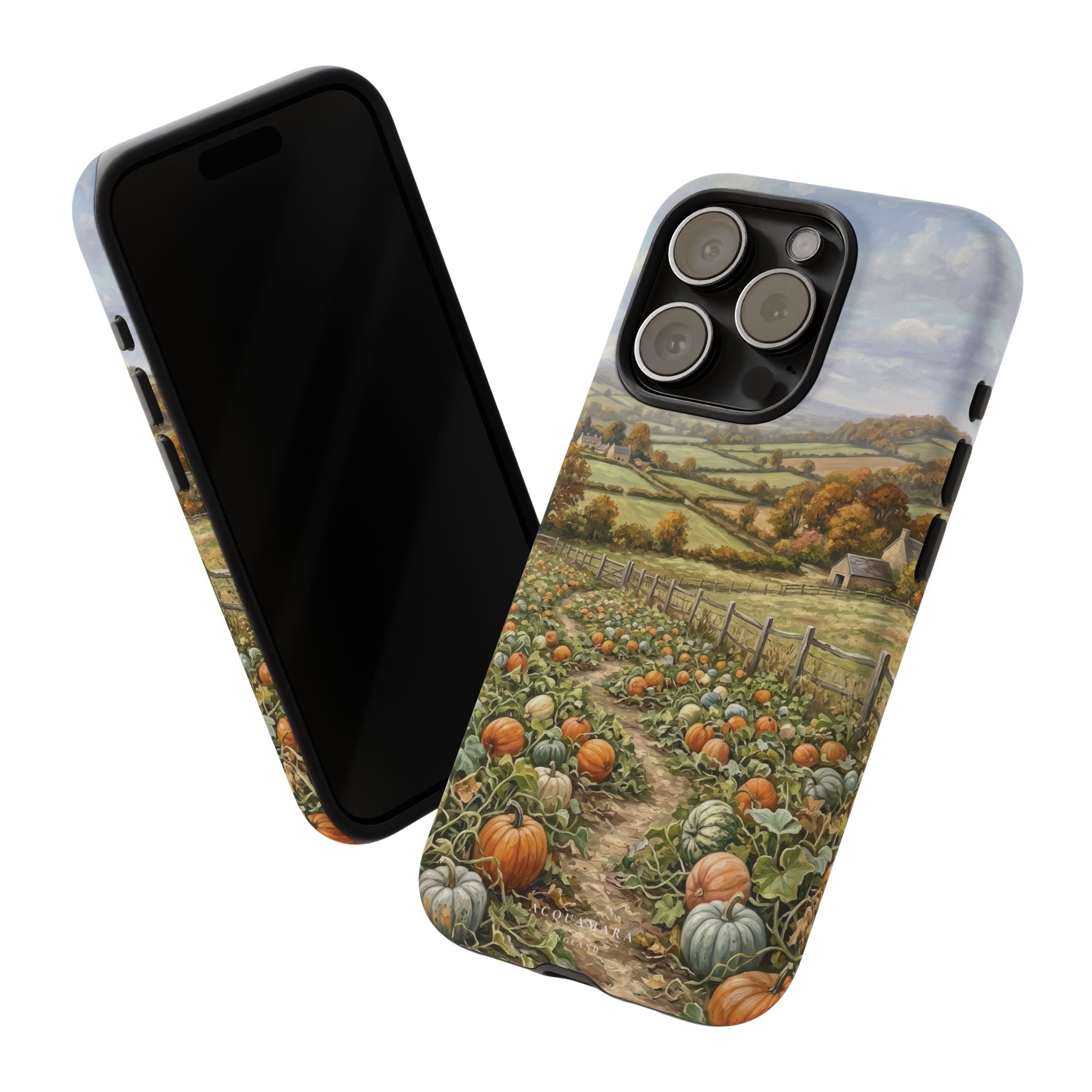 The Pumpkin Field