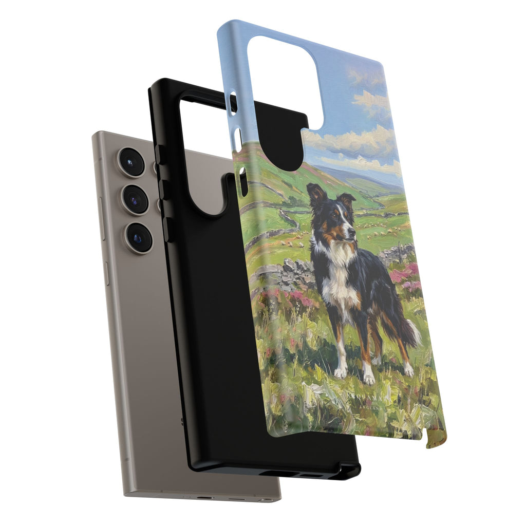 The Border Collie