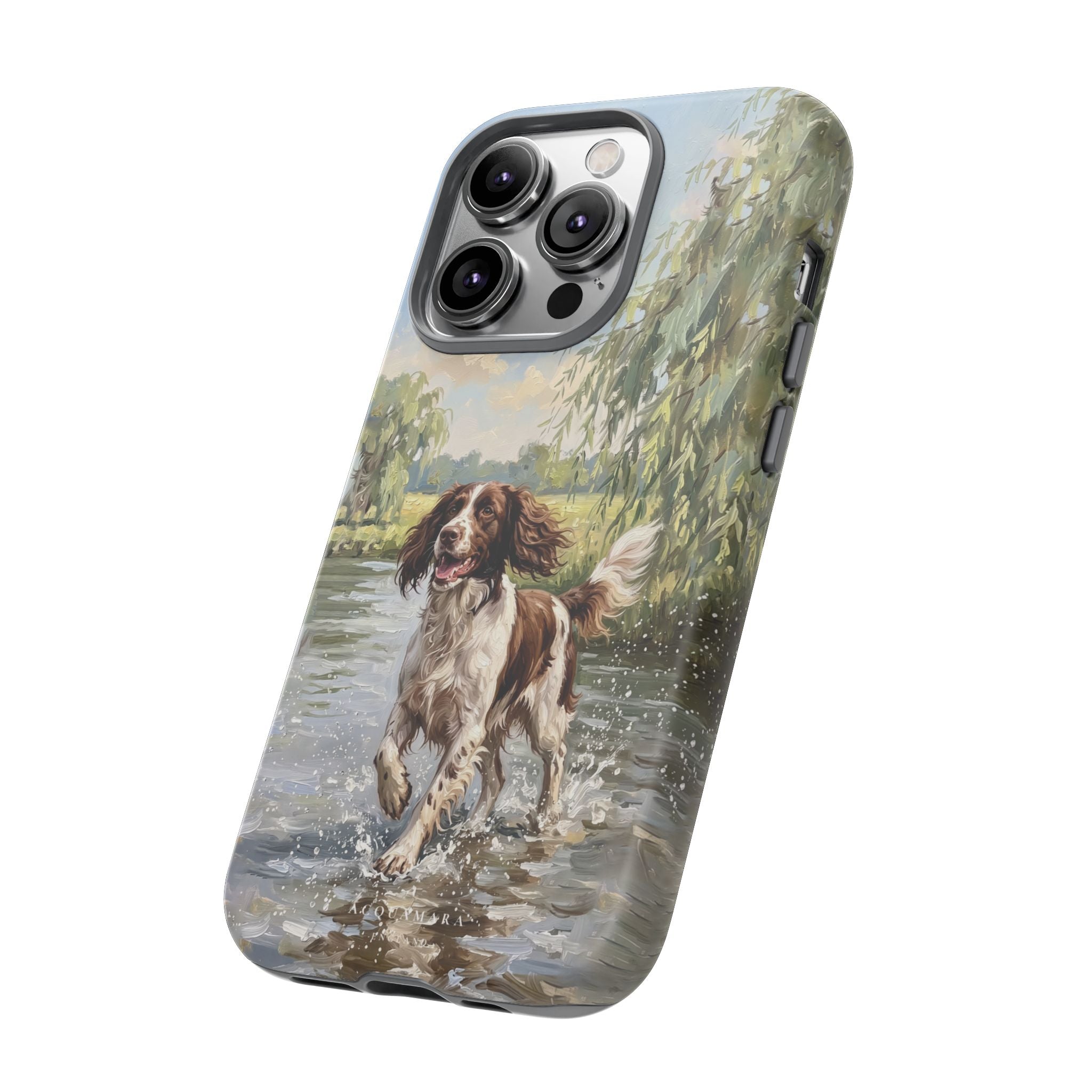 The Springer Spaniel (Liver and White)