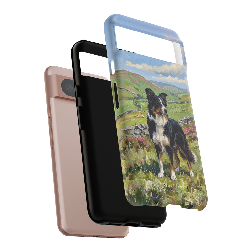 The Border Collie
