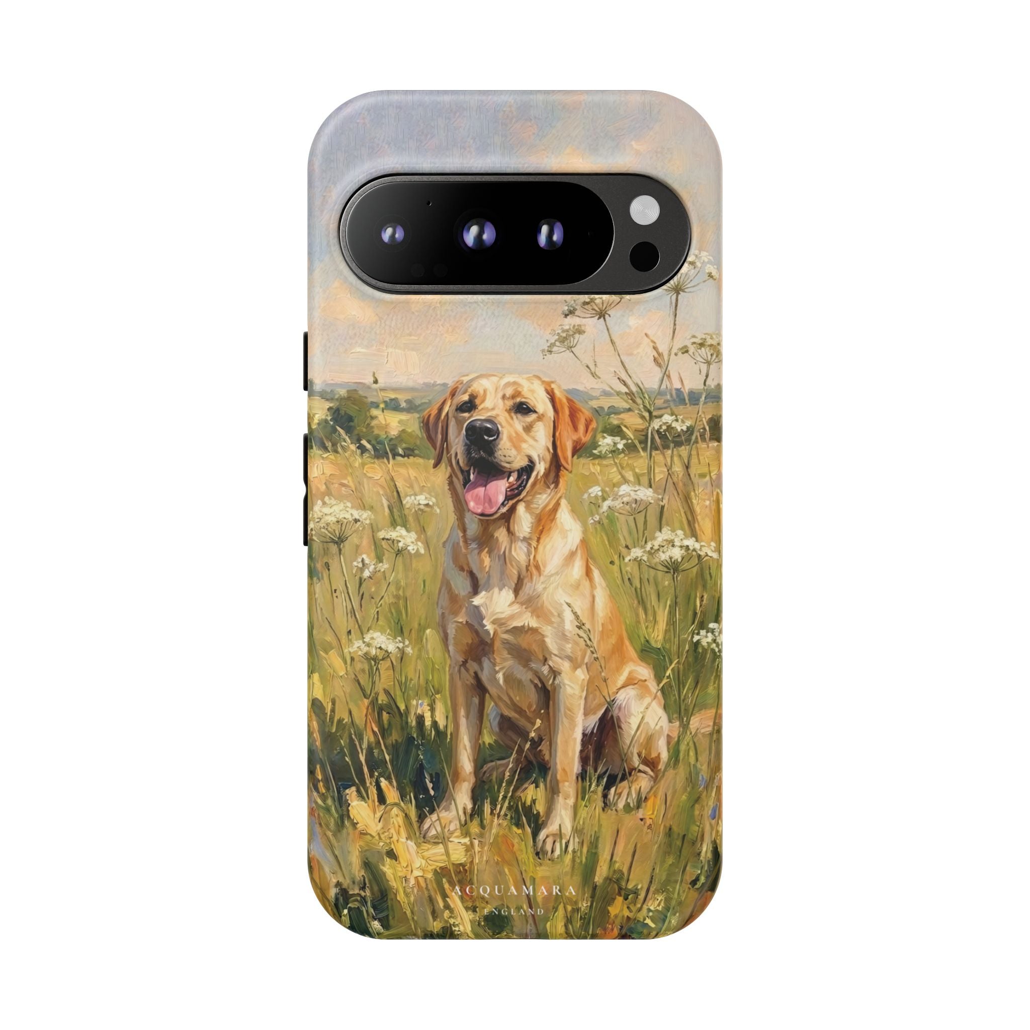 The Labrador (Yellow)
