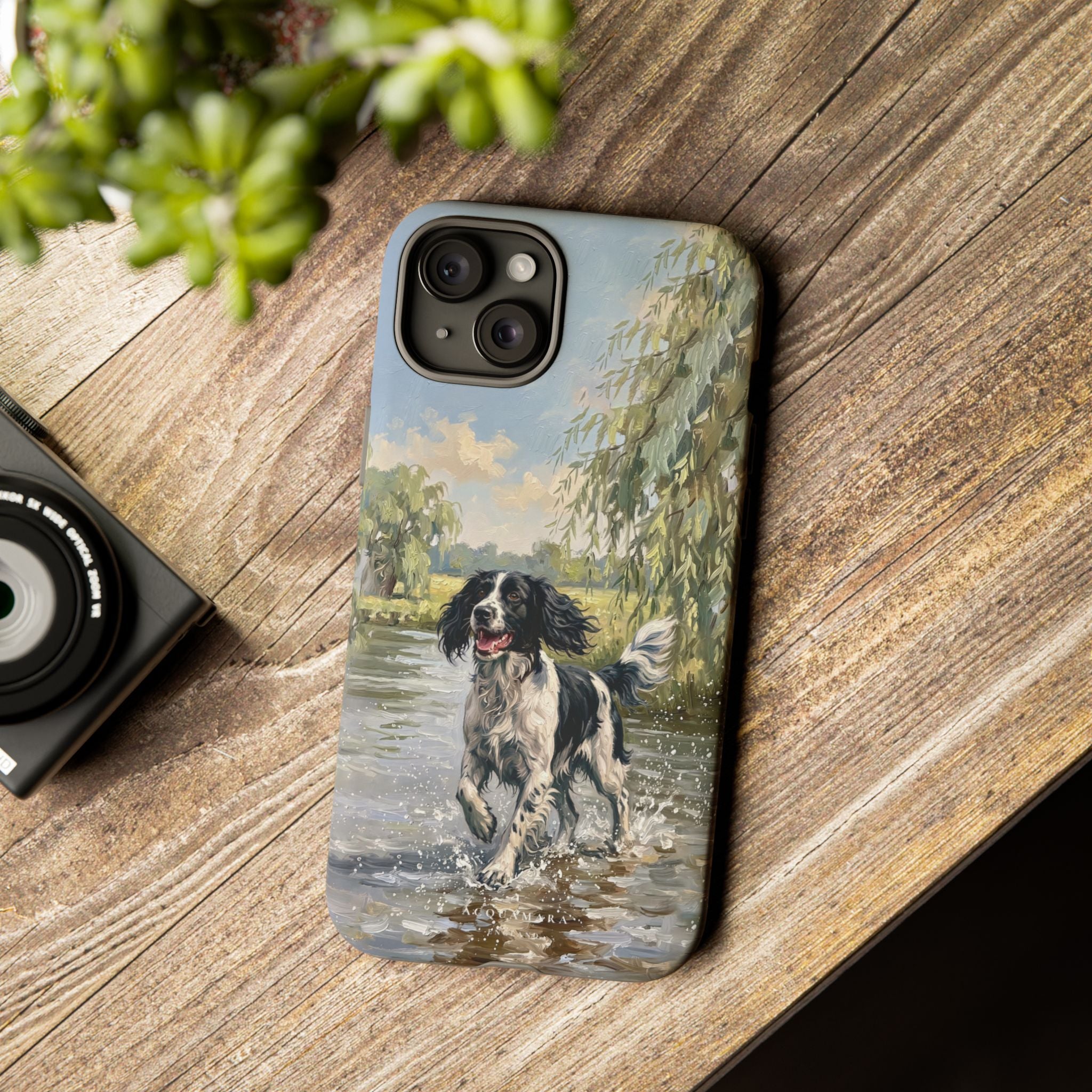 The Springer Spaniel (Black and White)