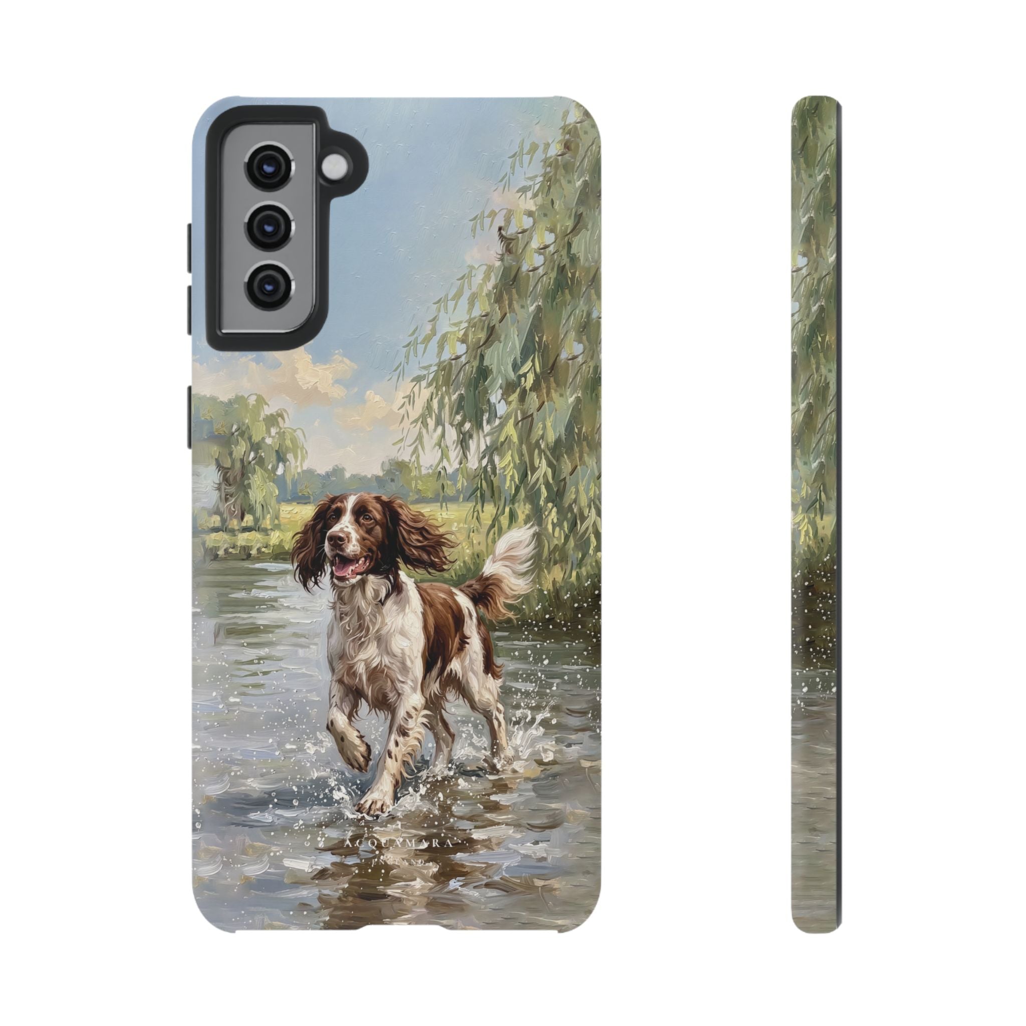 The Springer Spaniel (Liver and White)