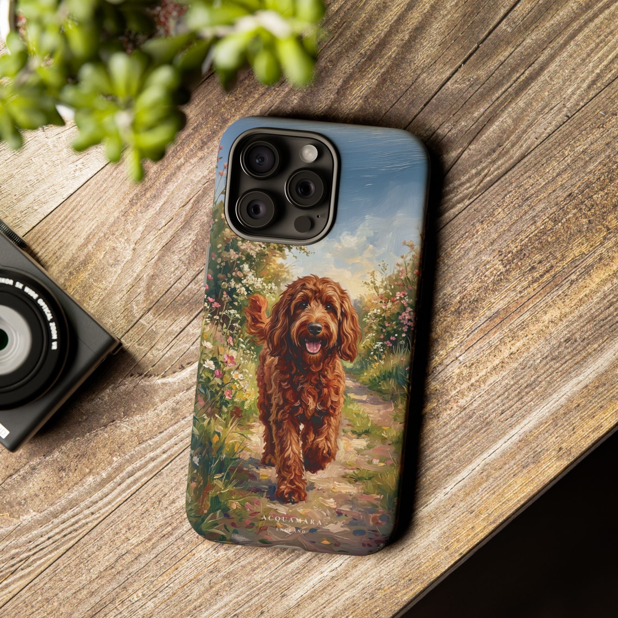 The Goldendoodle