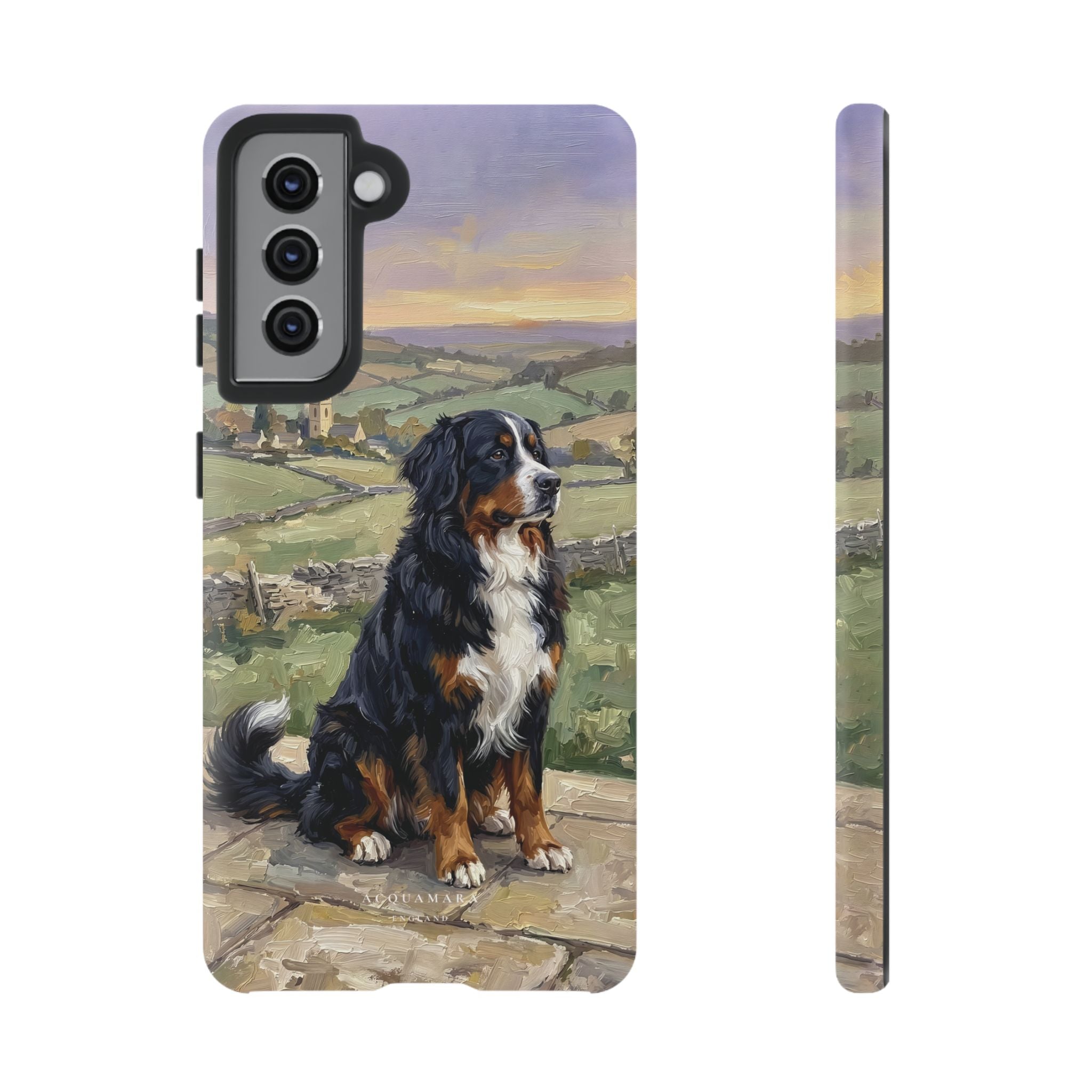 The Bernese Mountain Dog