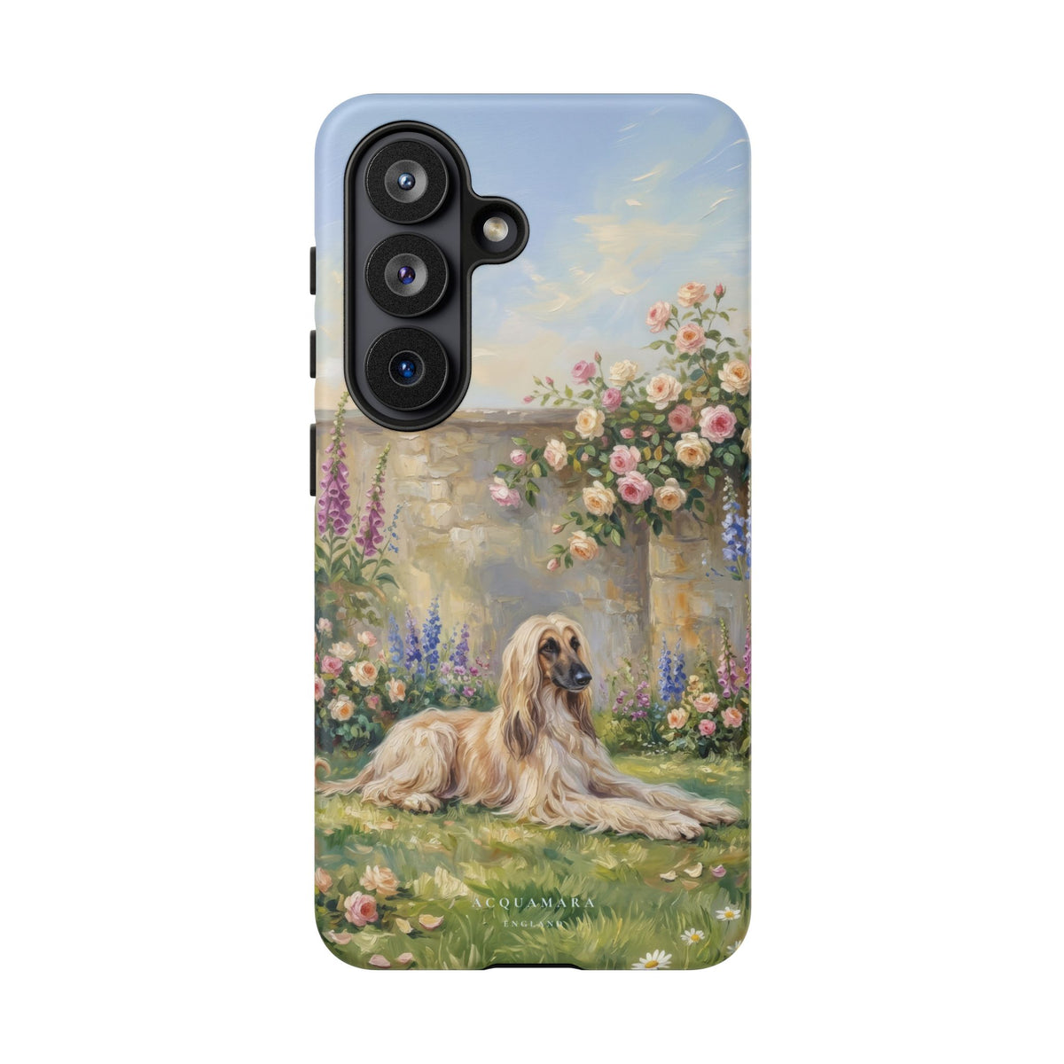 The Afghan Hound (Standard)