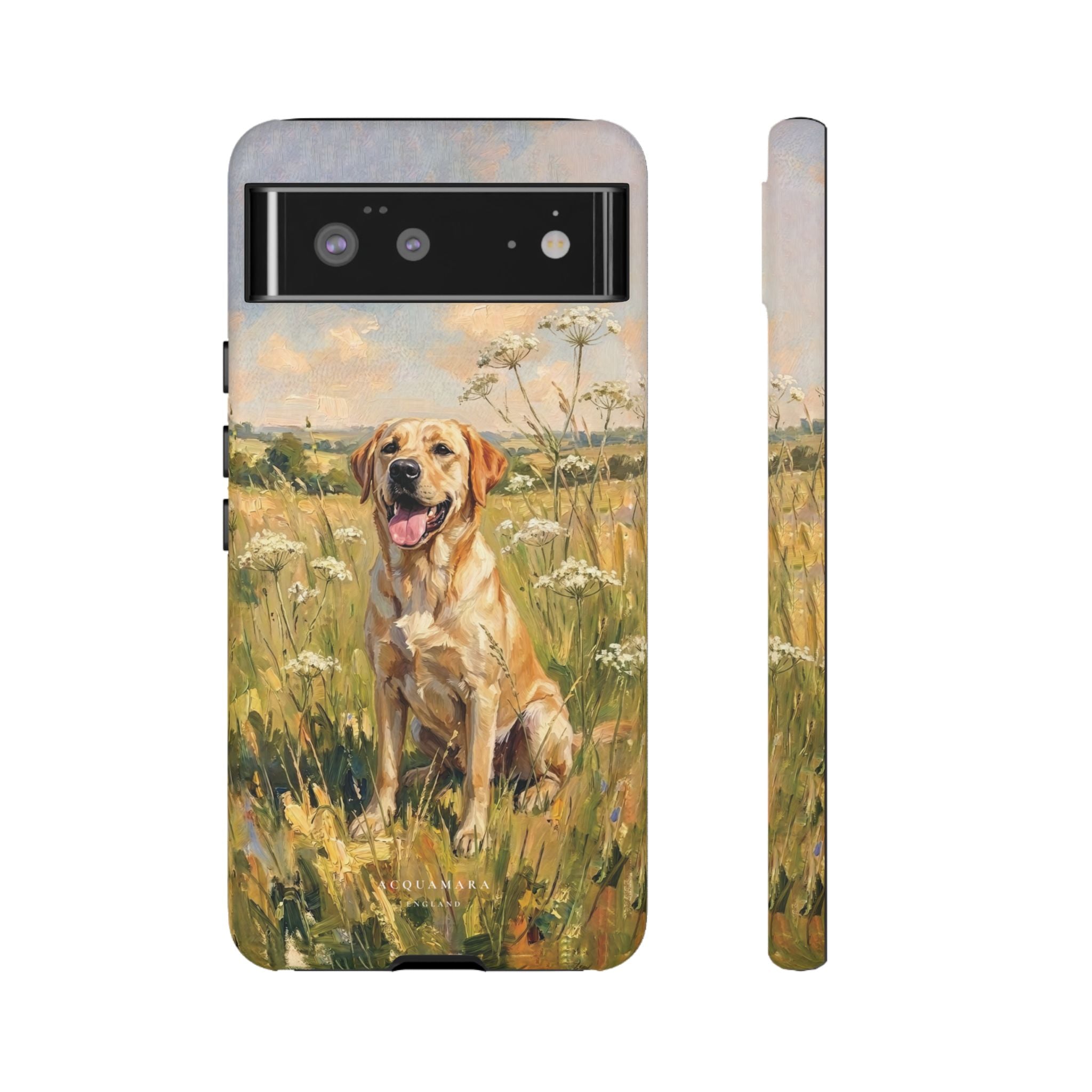 The Labrador (Yellow)